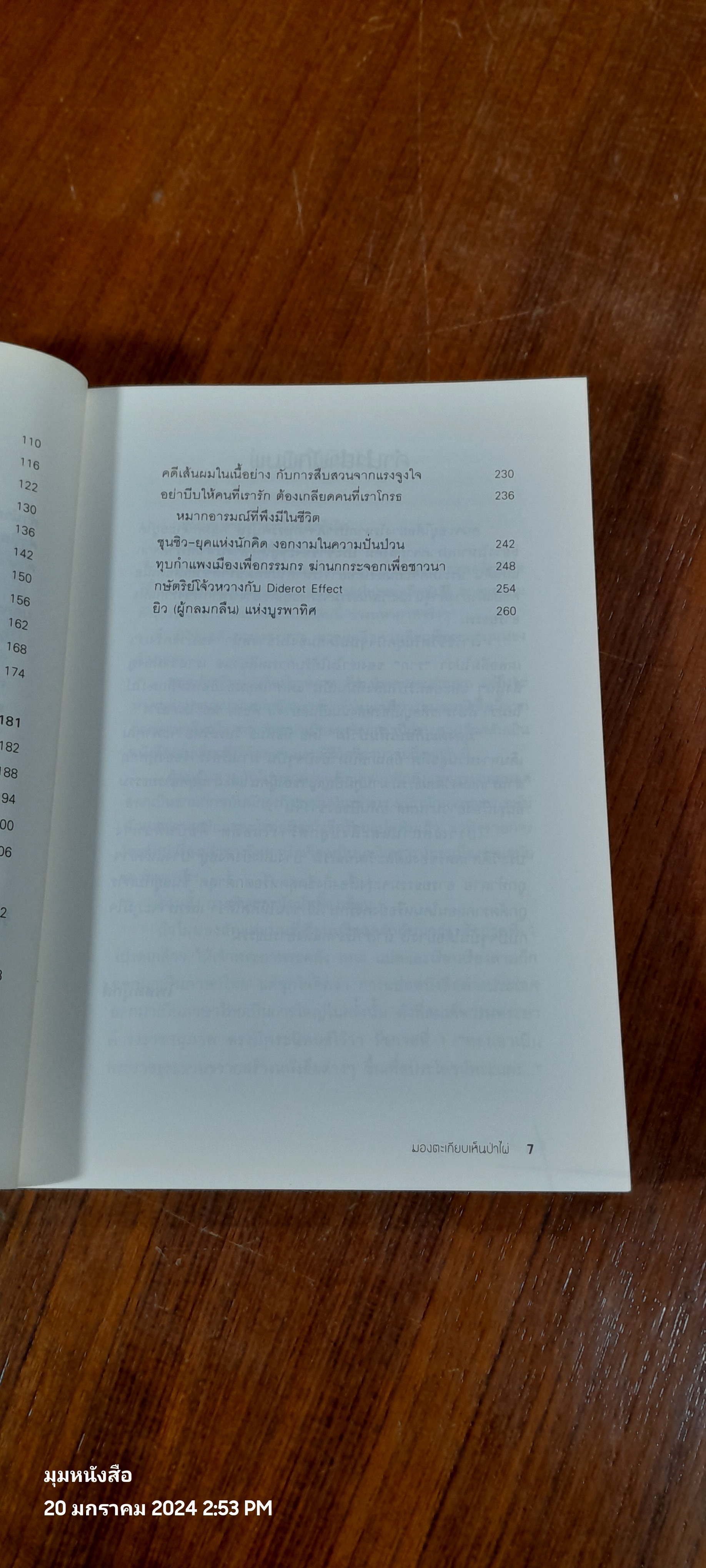 มองตะเกียบเห็นป่าไผ่ / นิธิพันธ์ วิประวิทย์