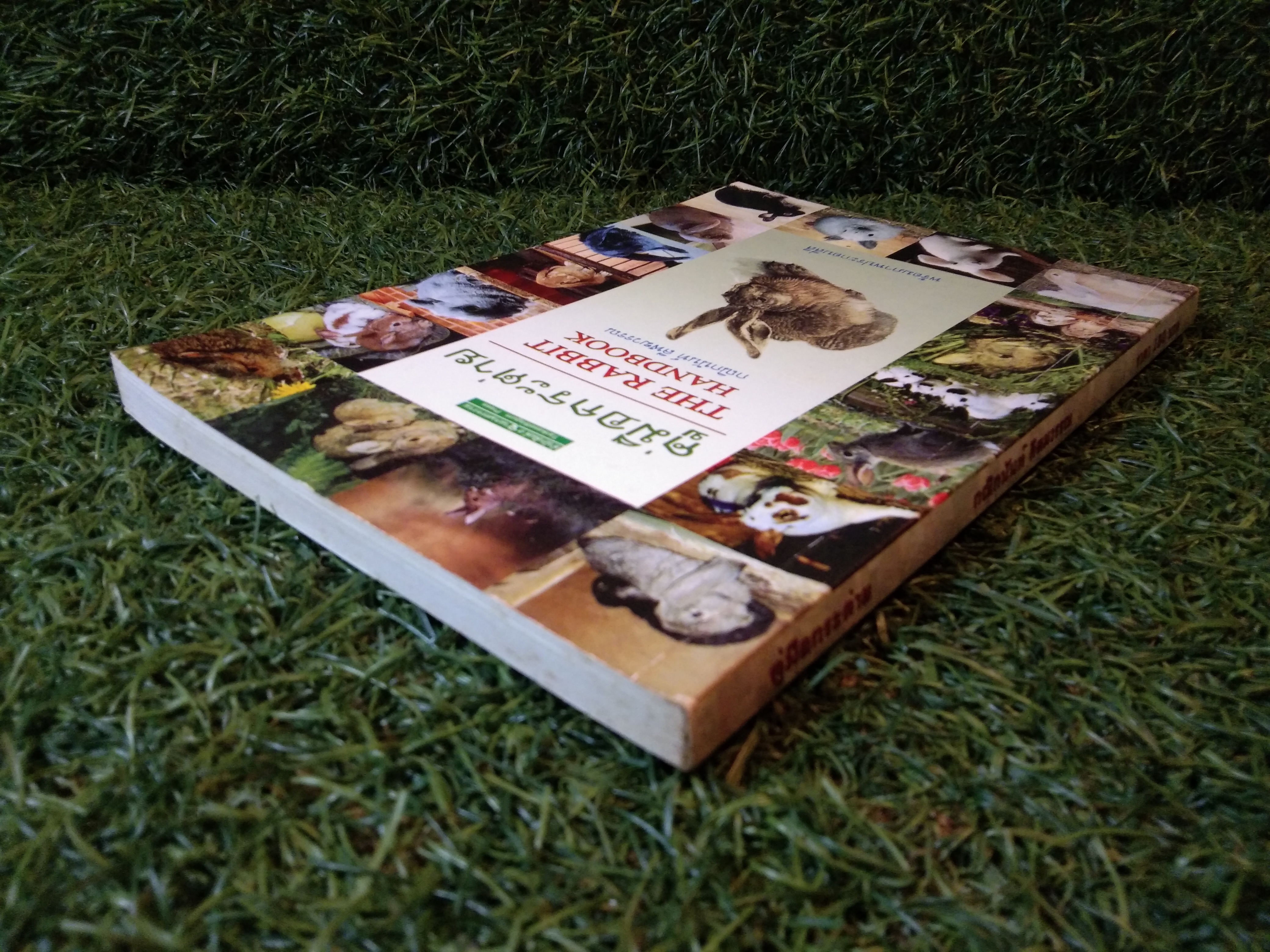 คู่มือกระต่าย THE RABBIT HANDBOOK / กณิกนันท์ ลีฬฆวรรณ