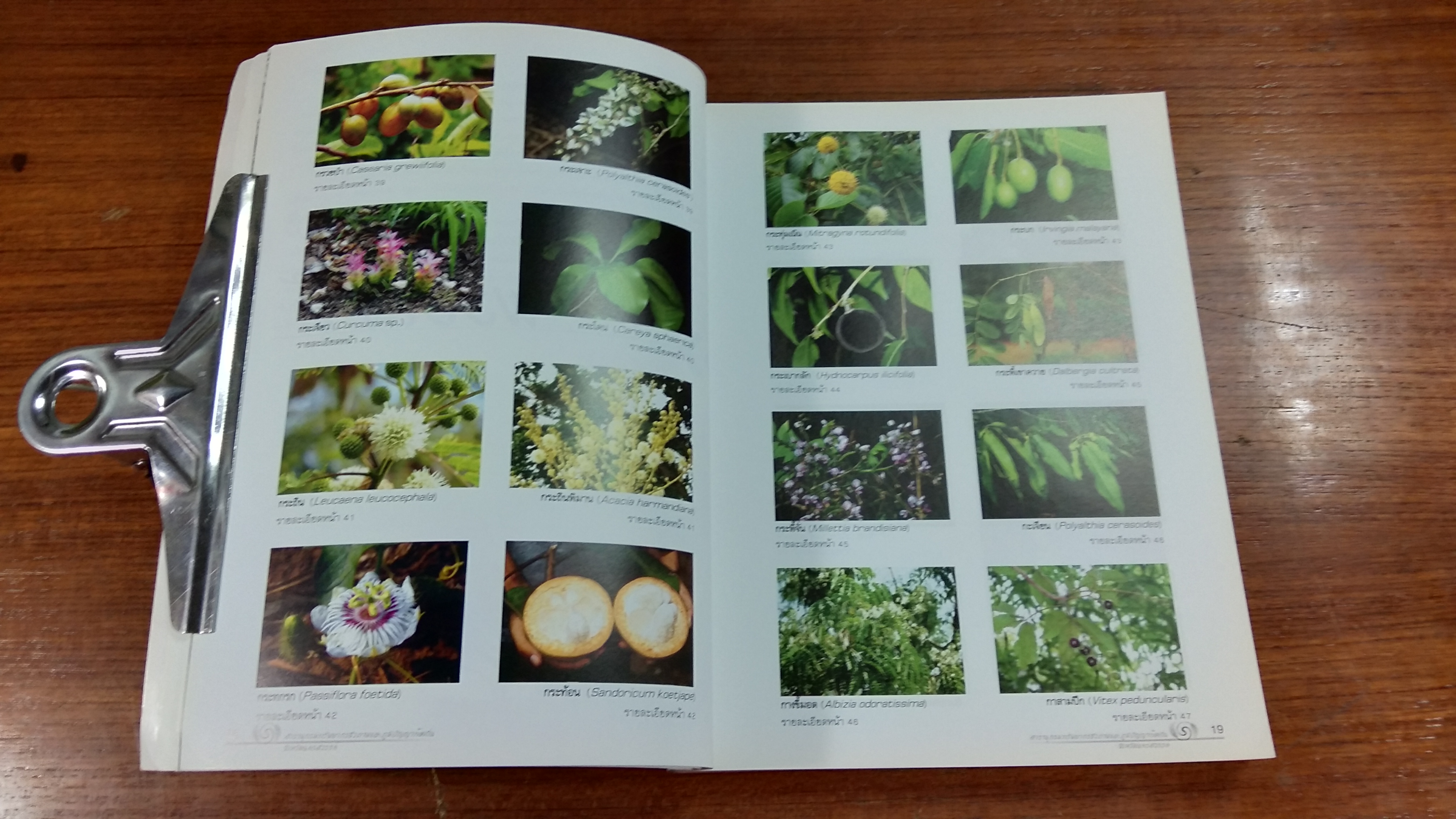 สารานุกรมทรัพยากรชีวภาพและภูมิปัญญาท้องถิ่น จังหวัดนครสวรรค์