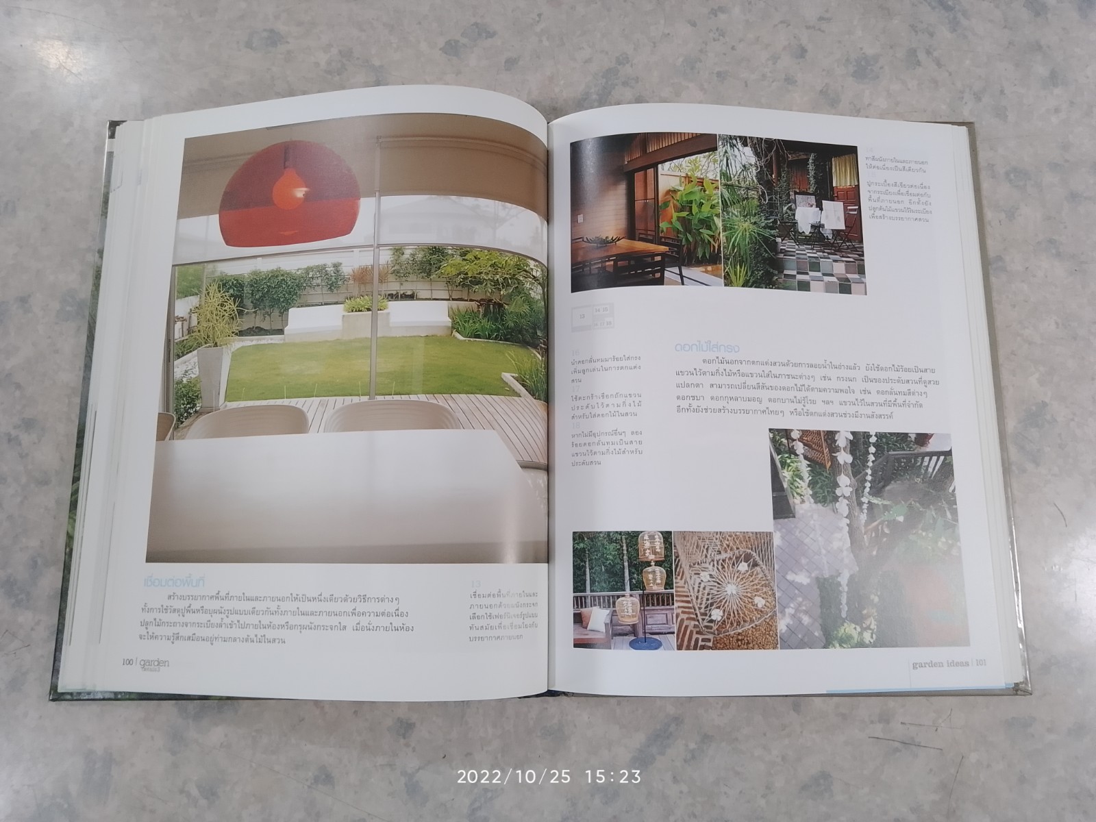 garden details 3 / บ้านและสวน