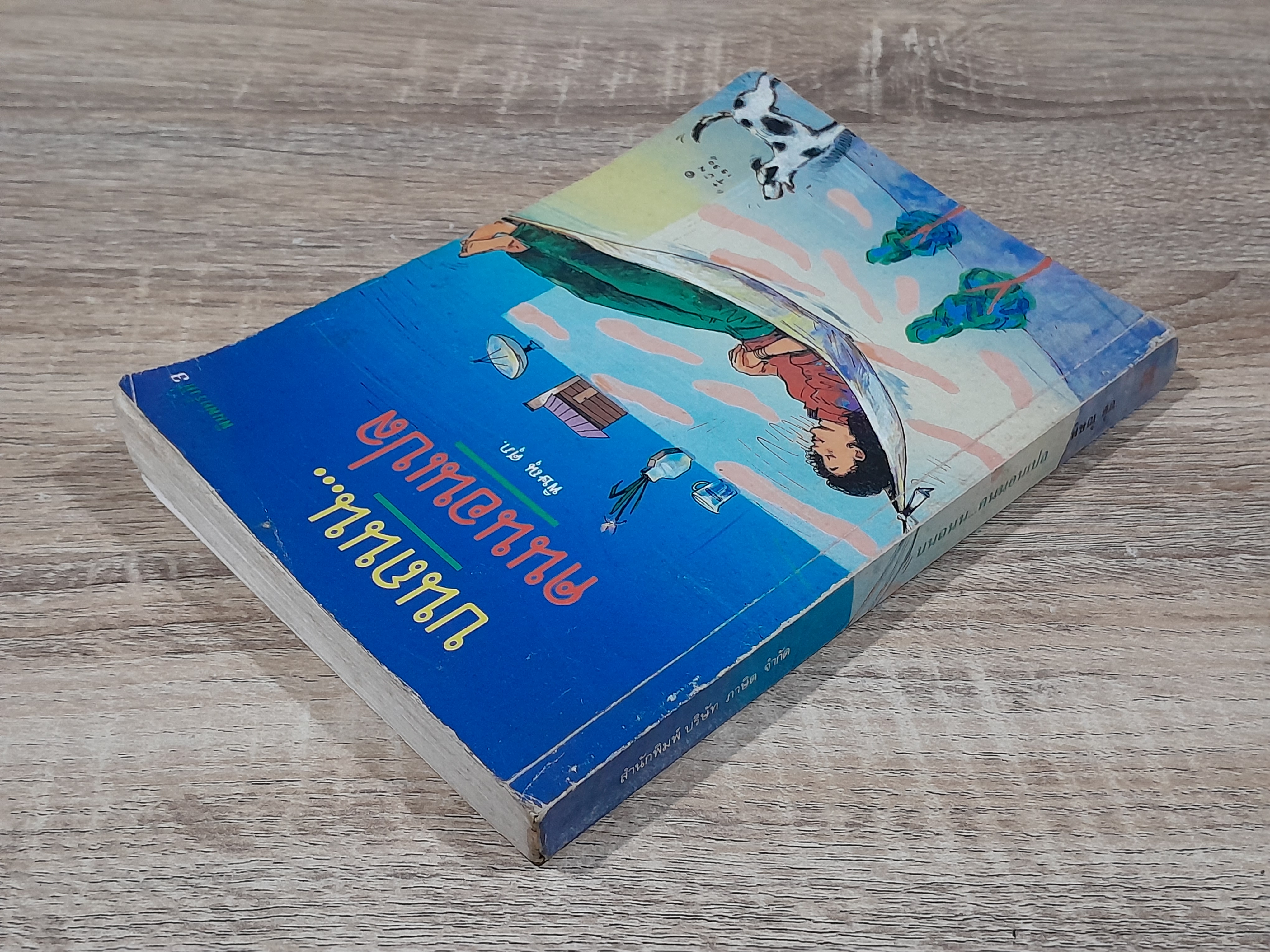 บนถนน...คนนอนเปล / พิษณุ ศุภ