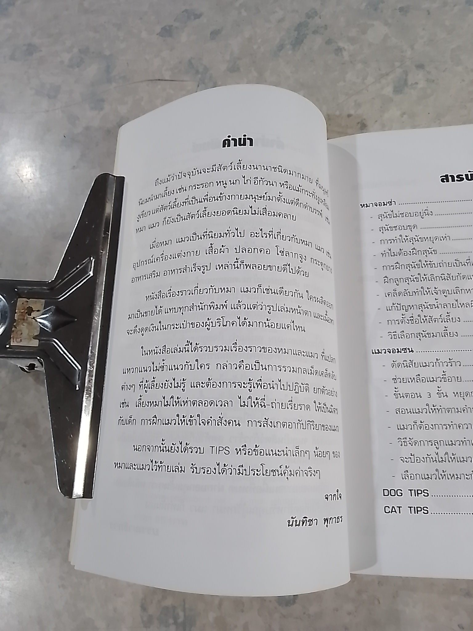 เคล็ดไม่ลับปราบหมาจอมซ่าแมวจอมซน / นันทิชา พุกาธร