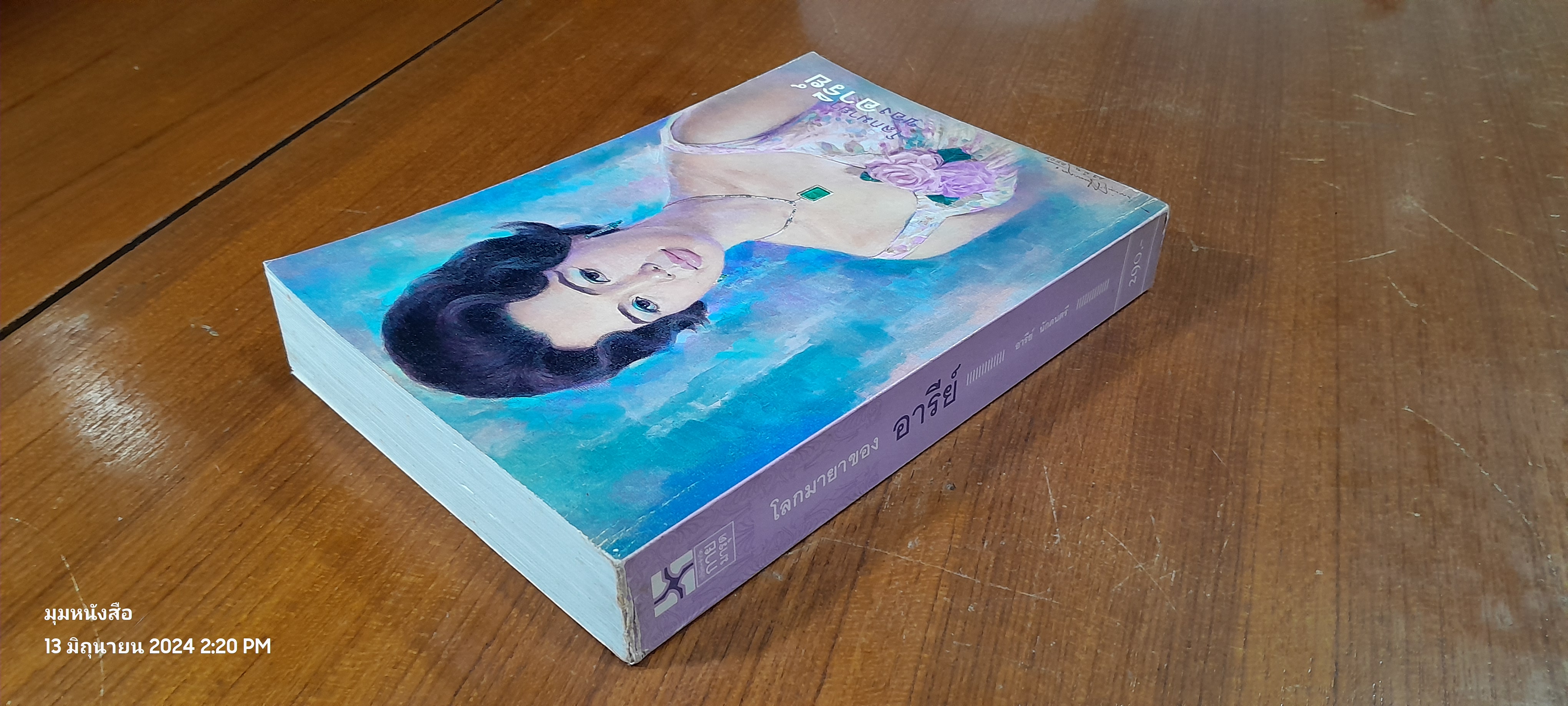 โลกมายาของอารีย์ / อารีย์ นักดนตรี