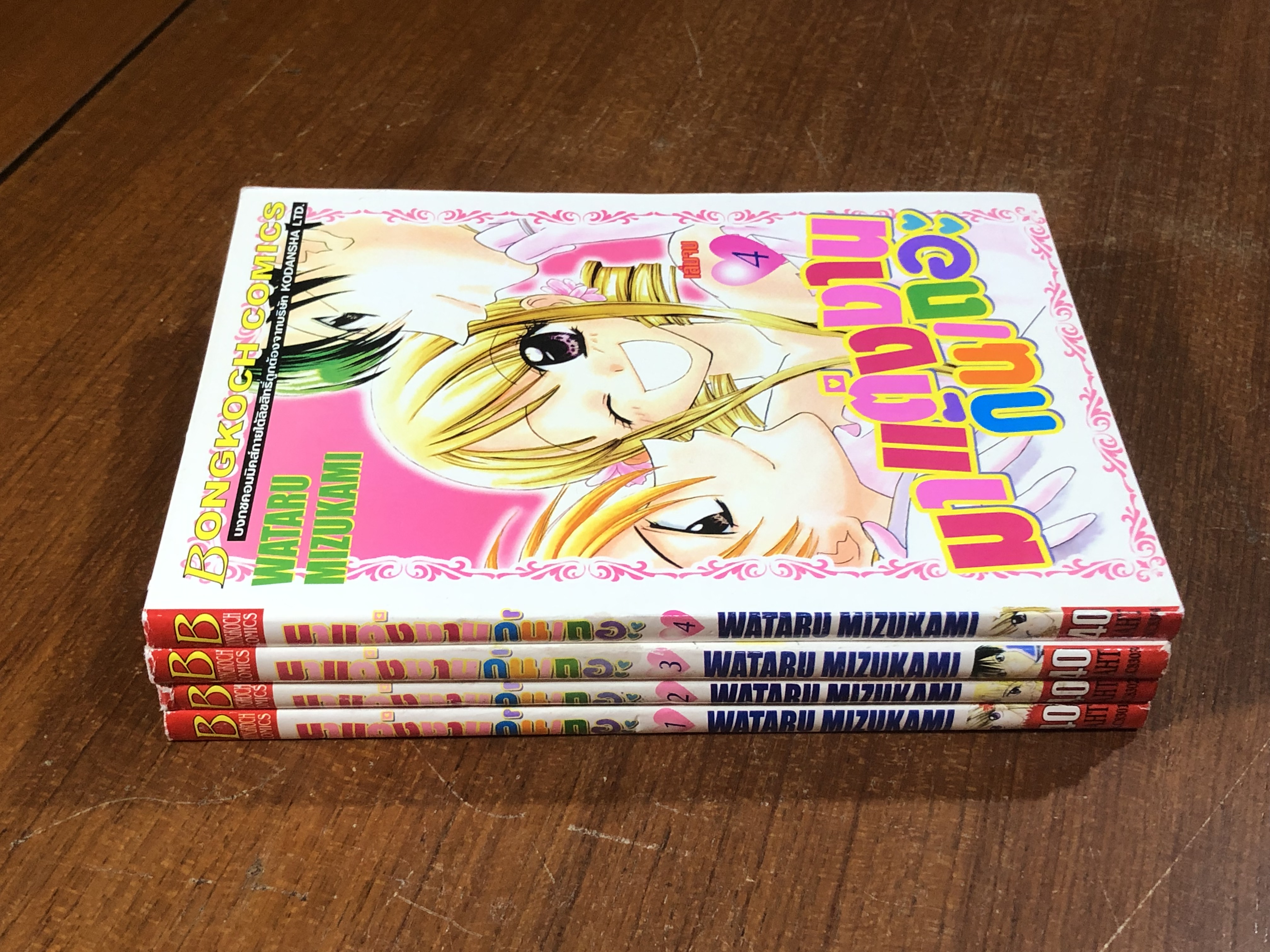 มาแต่งงานกันเถอะ (4เล่มจบ) / WATARU MIZUKAMI