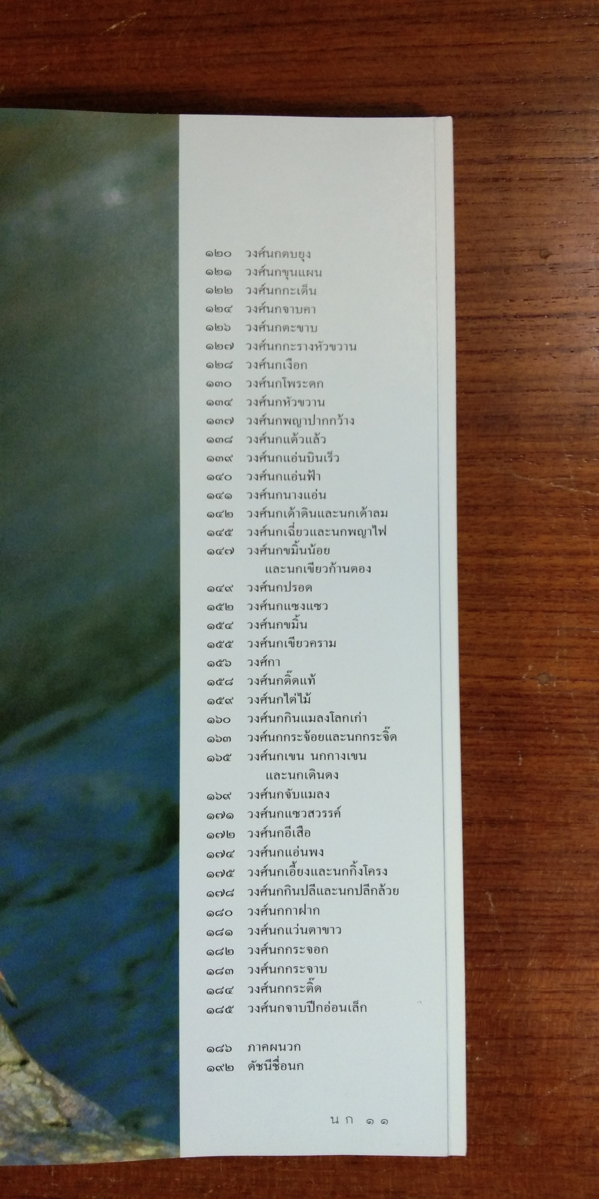 หนังสือชุดสังเกตธรรมชาติ นก / รุ่งโรจน์ จุกมงคล