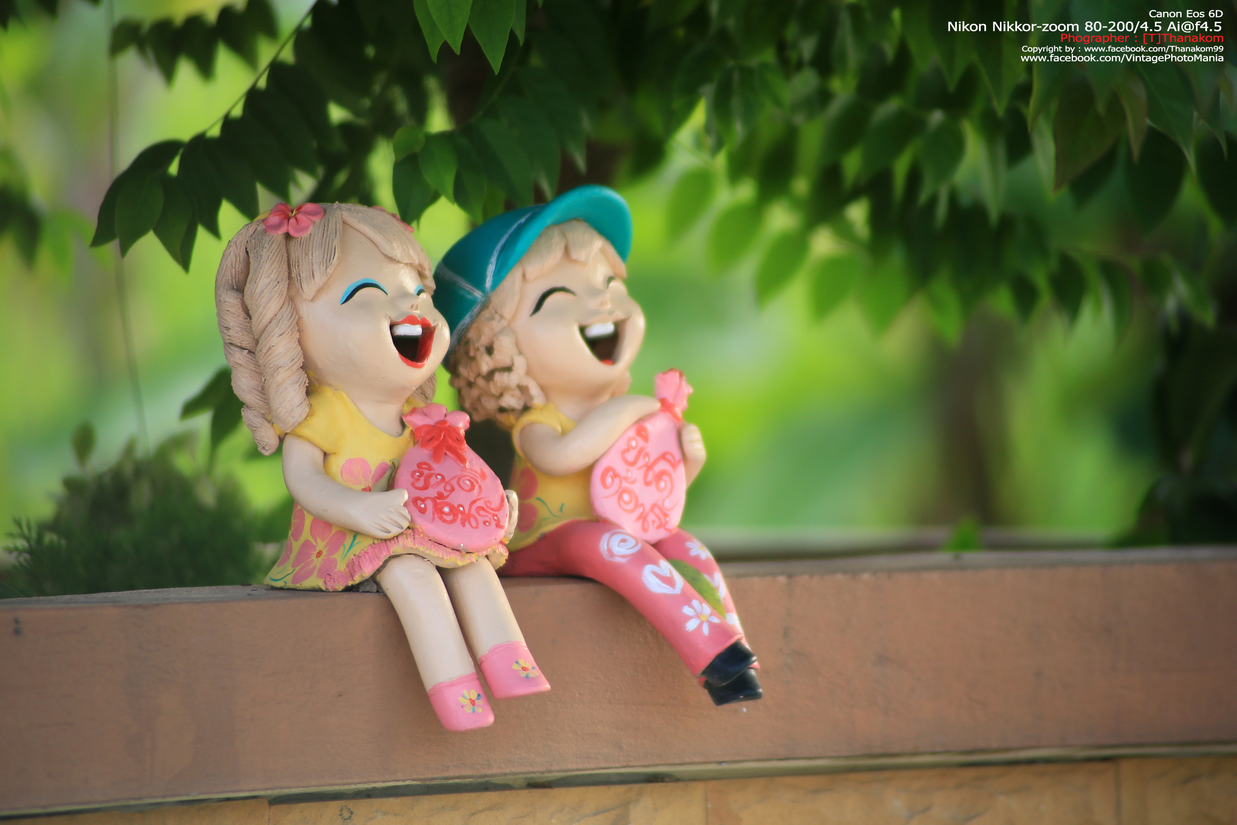 Nikon Zoom-Nikkor.C 80-200/4.5 *Nikon Ai-S Mount