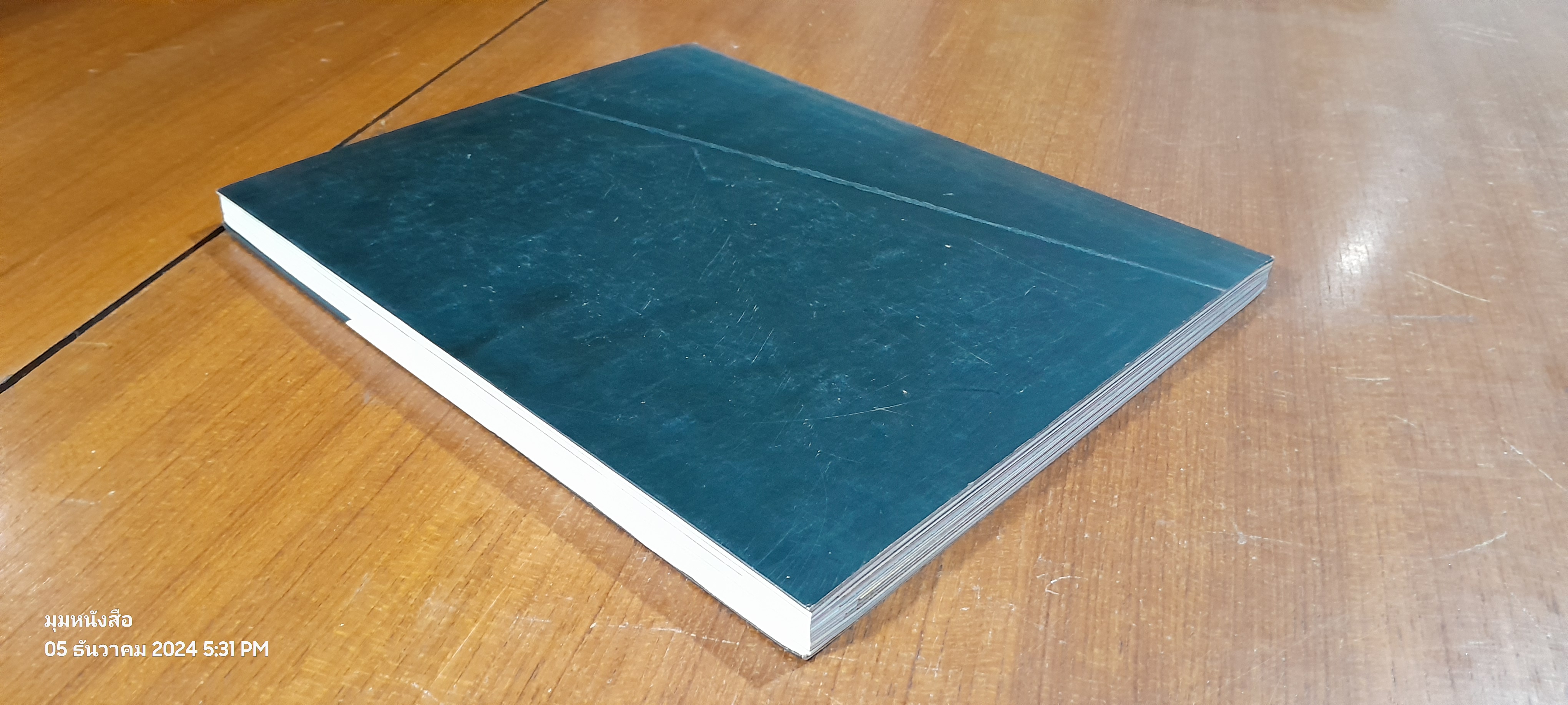 16 ปีแห่งความโดดเดี่ยว