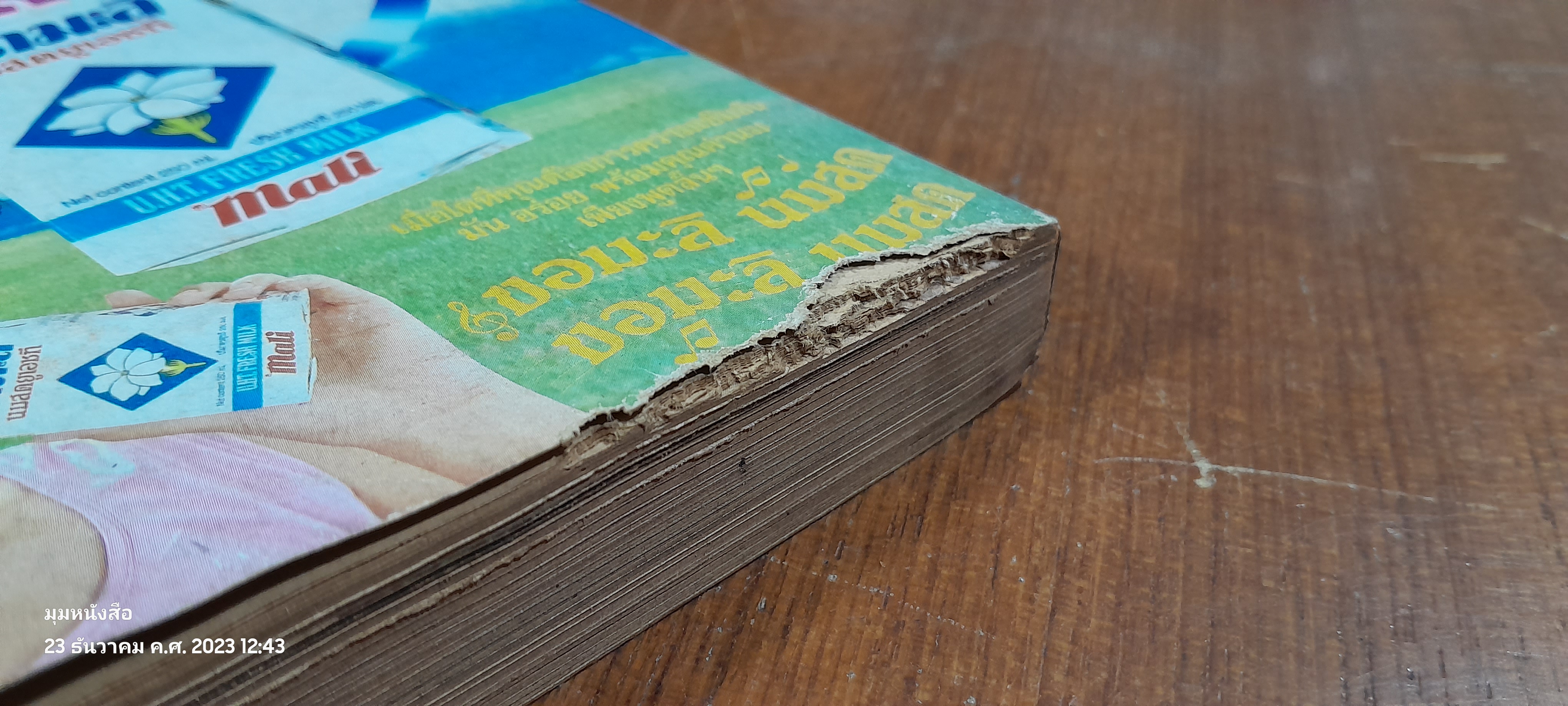 เพื่อนเดินทาง : รวมภาคใต้