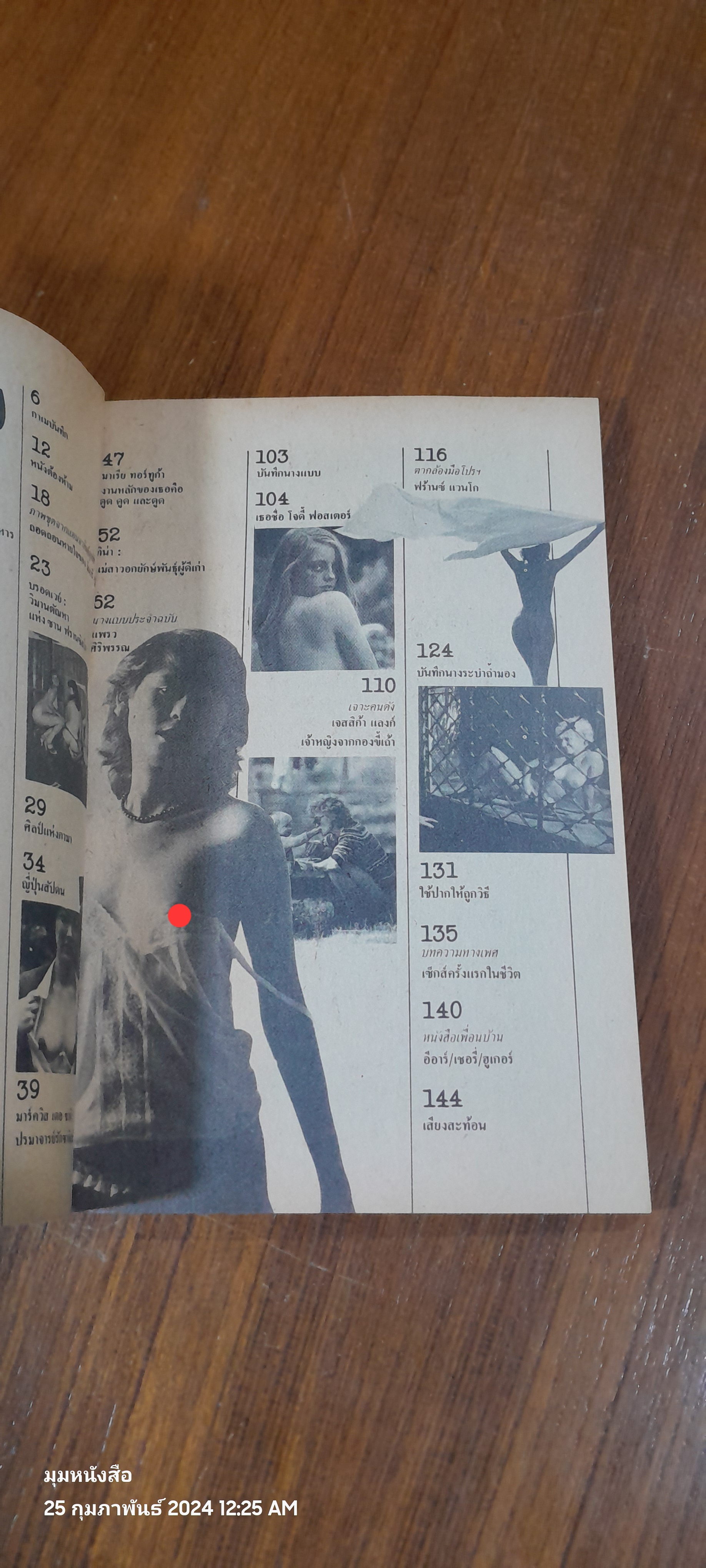 หนุ่มสาว (ฉบับมินิ 15)