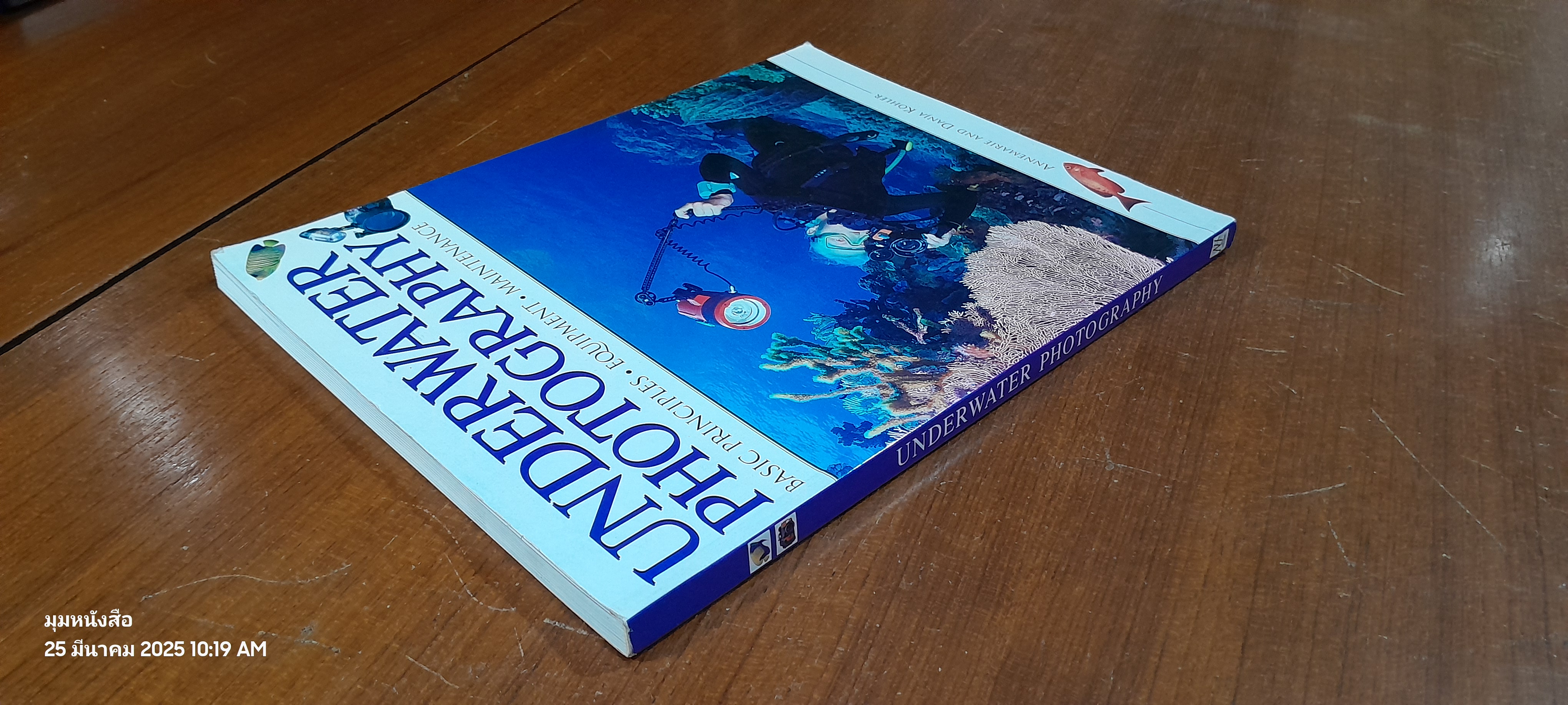 UNDERWATER PHOTOGRAPHY / Annemarie