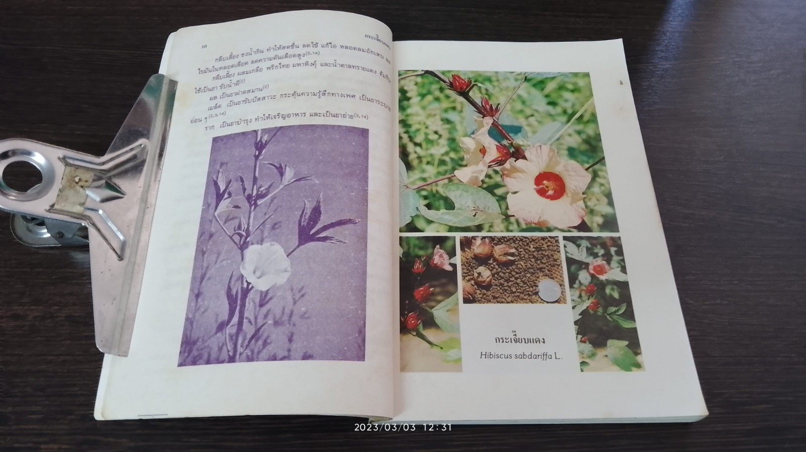 สมุนไพร (ในครัวเรือน) 2