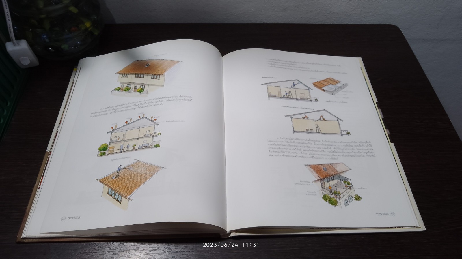 ทาวน์เฮ้าส์ / บ้านและสวน