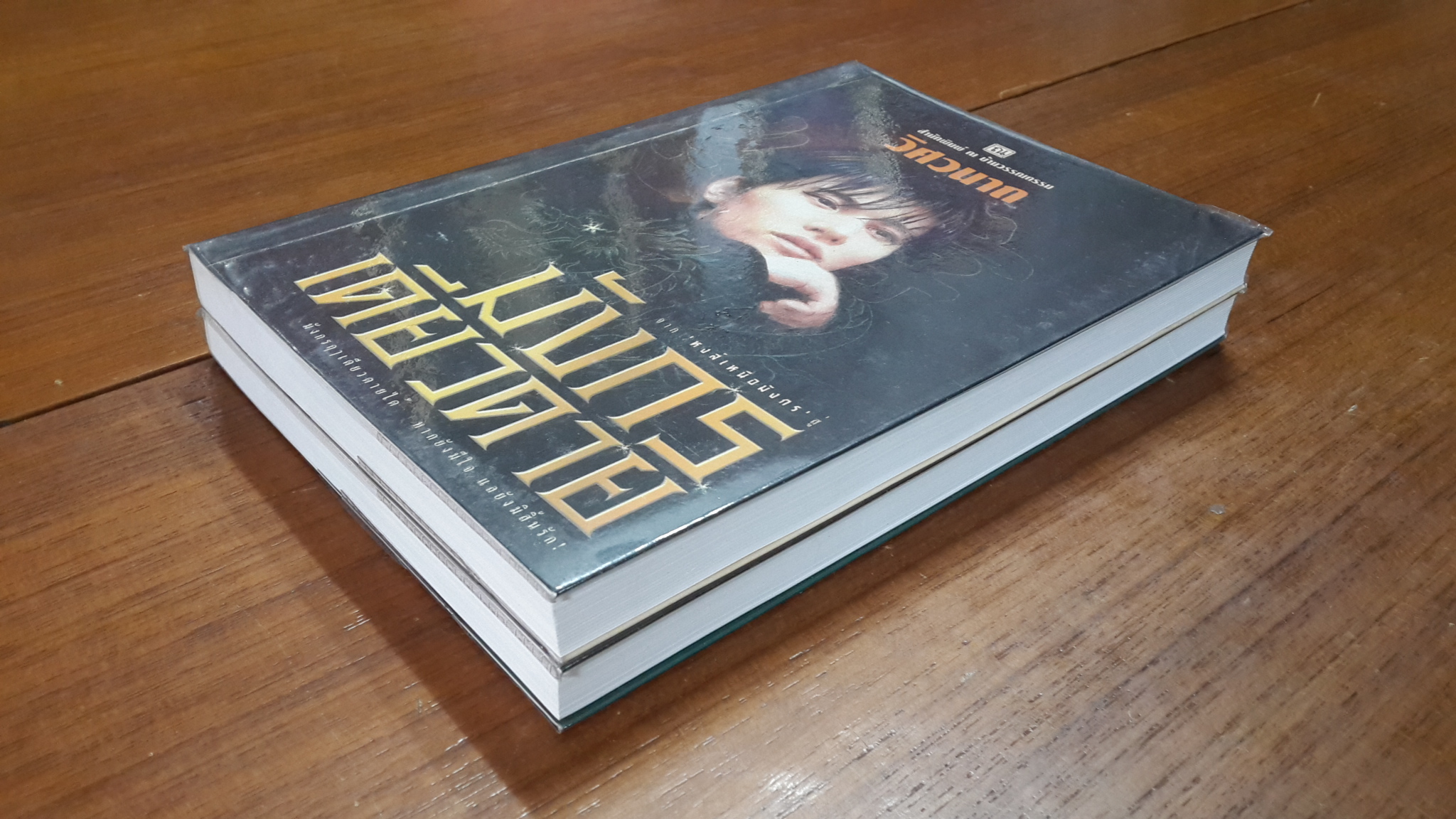 มังกรเดียวดาย (2เล่มจบ) / วิศวนาถ