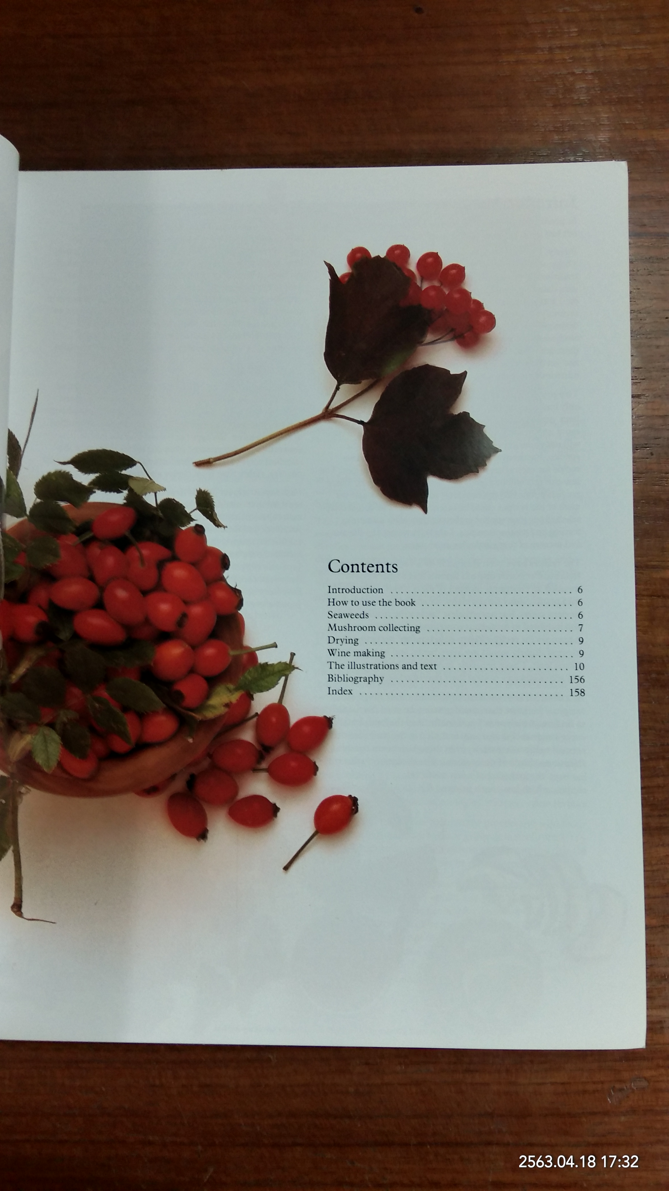 Wild Food / ROGER PHILLPS