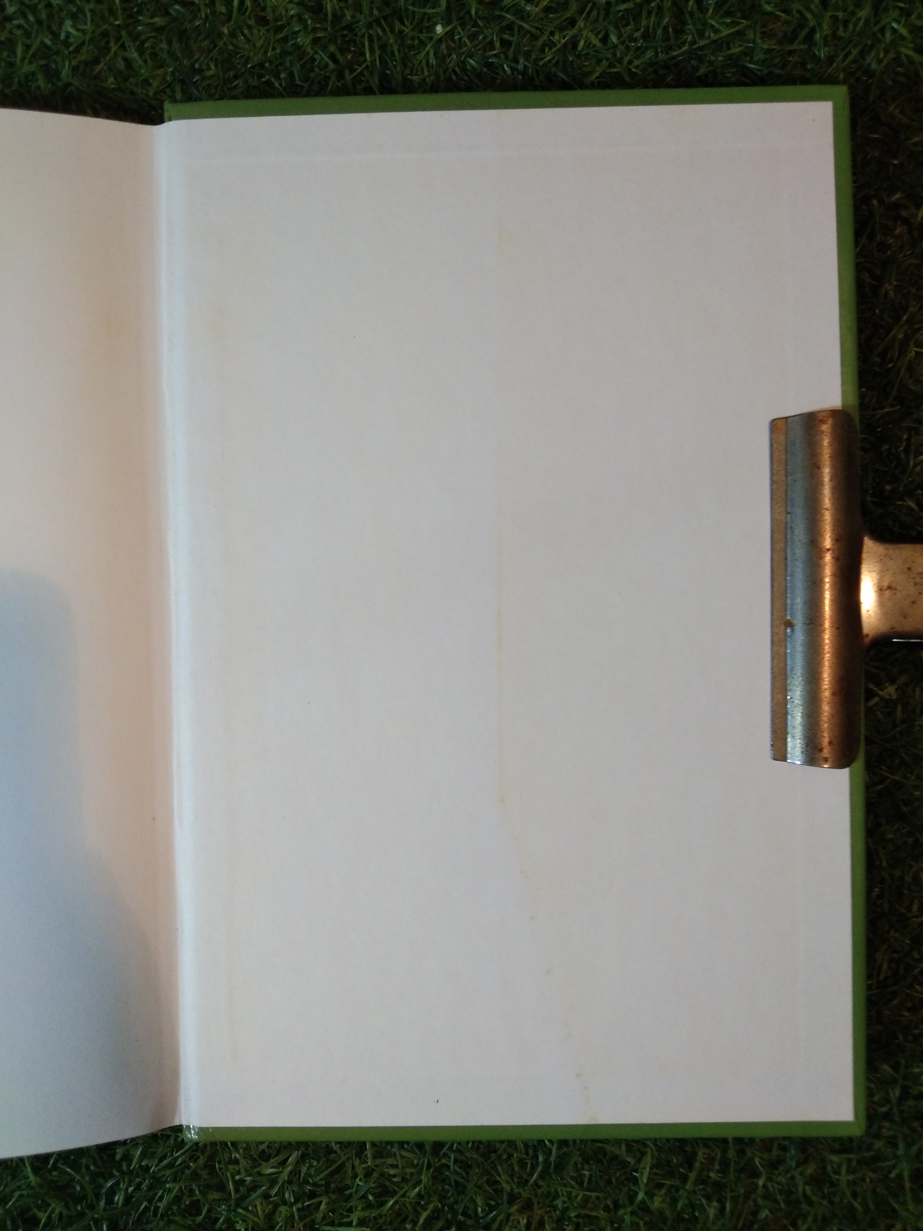 FASCINATING INSECTS of SOUTHEAST ASIA / L.E.O.BRAACK