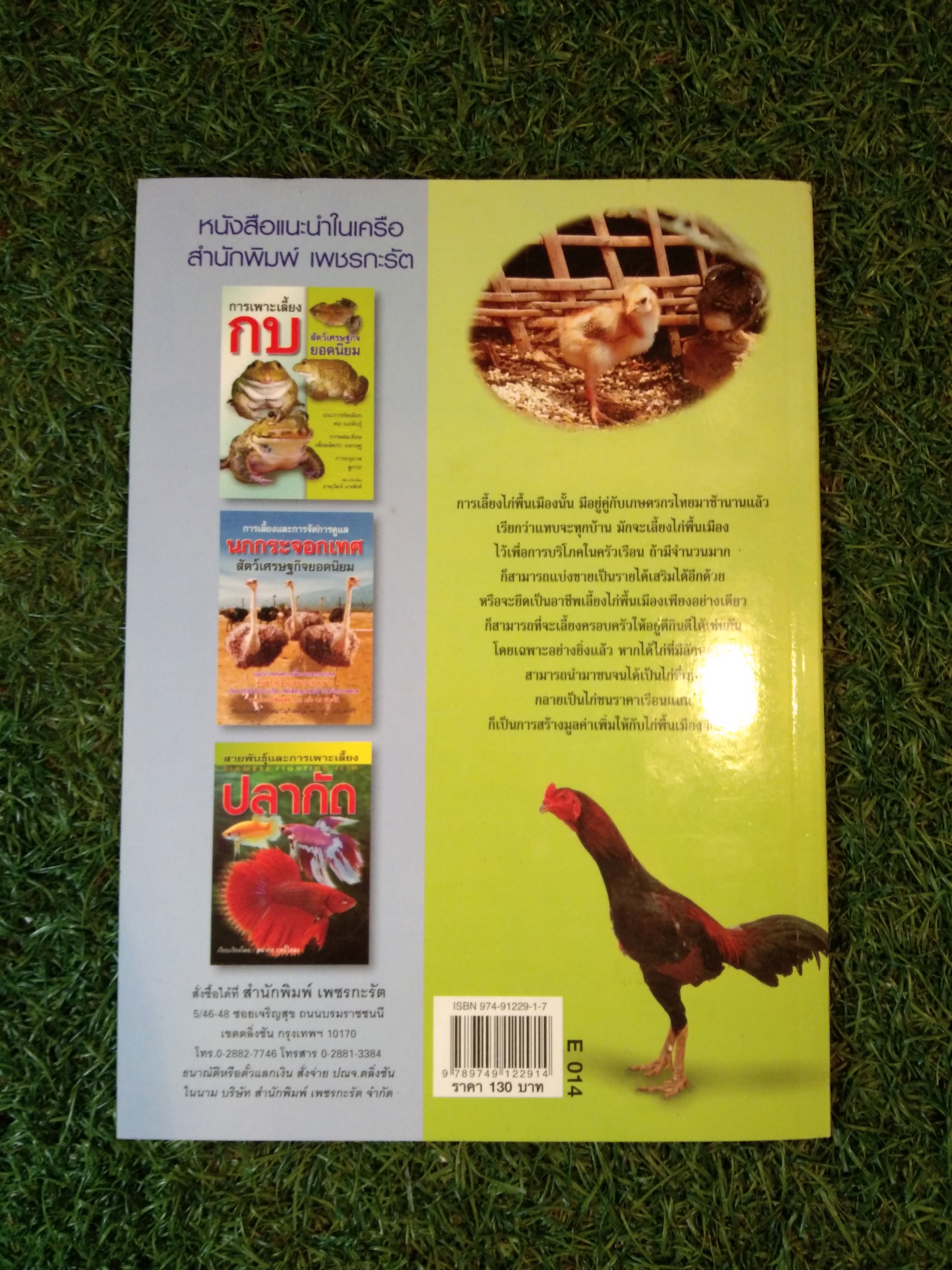 ไก่พื้นเมือง สัตว์เศรษฐกิจพื้นบ้านยอดนิยม / บวรศักดิ์ หัสดิน