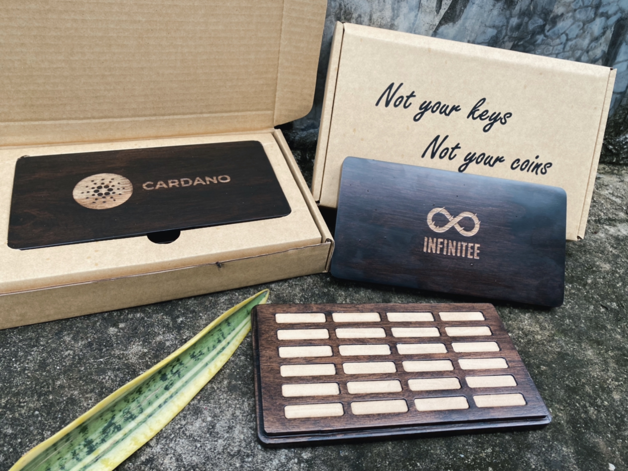 ตลับจด SeedPhrase แบบ 24คำ