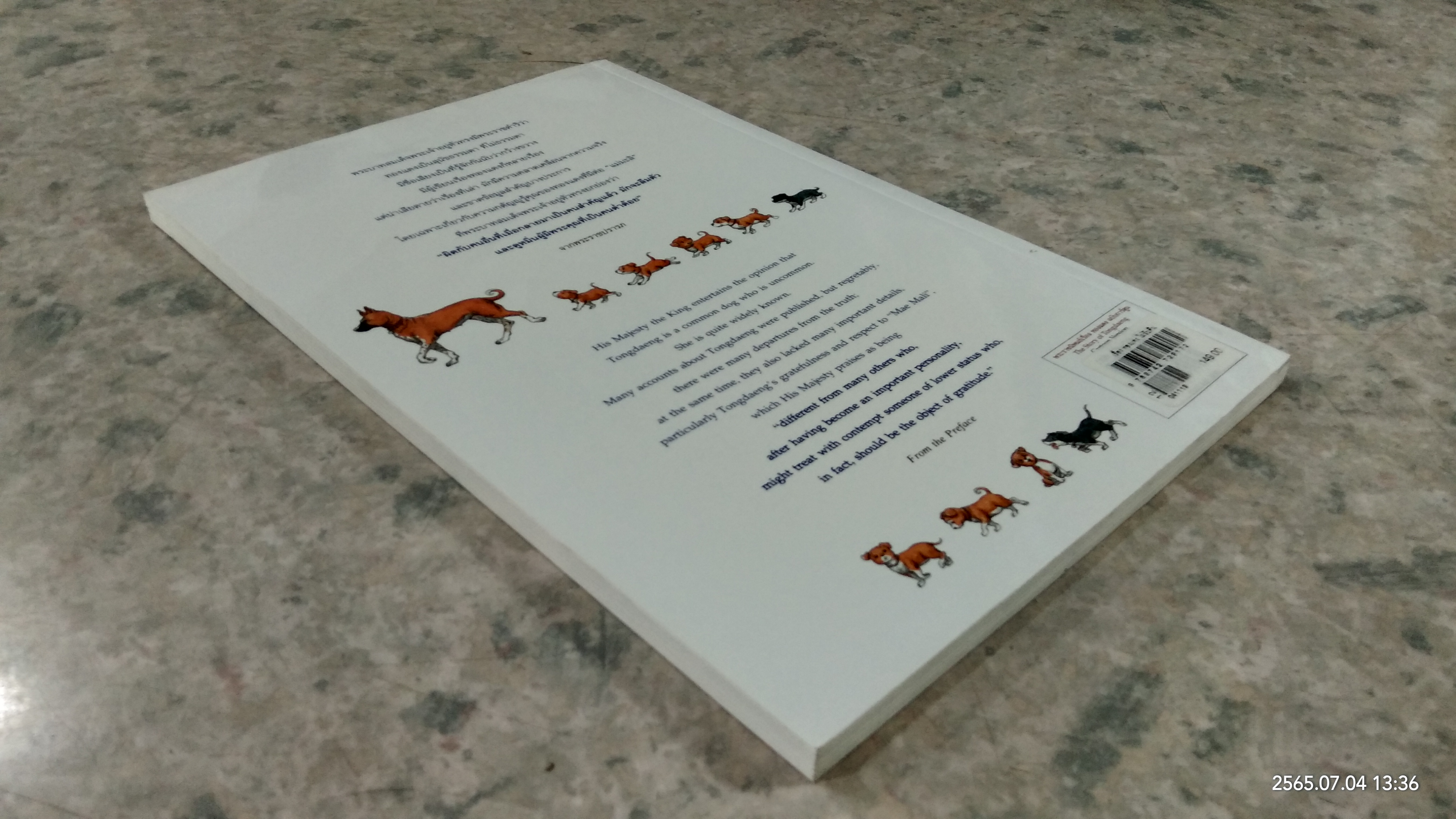 เรื่อง ทองแดง ฉบับการ์ตูน