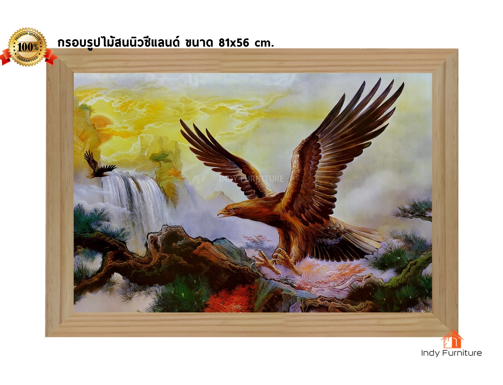 กรอบรูปไม้สนนิวซีแลนด์ ภาพวาด นกอินทรี ขนาด81x56ซม. (344)