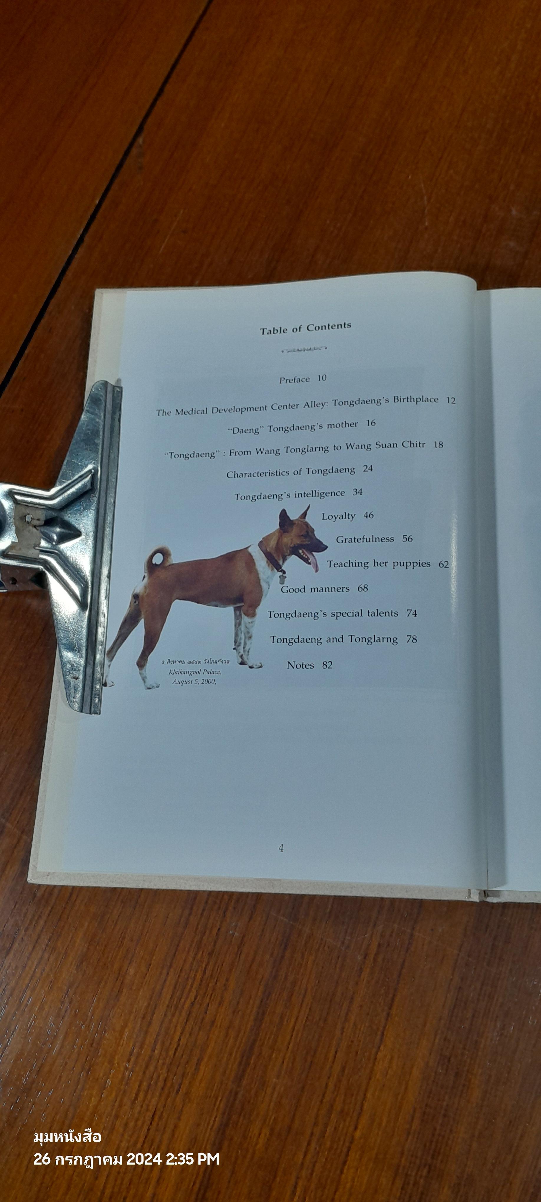 พระราชนิพนธ์เรื่อง ทองแดง