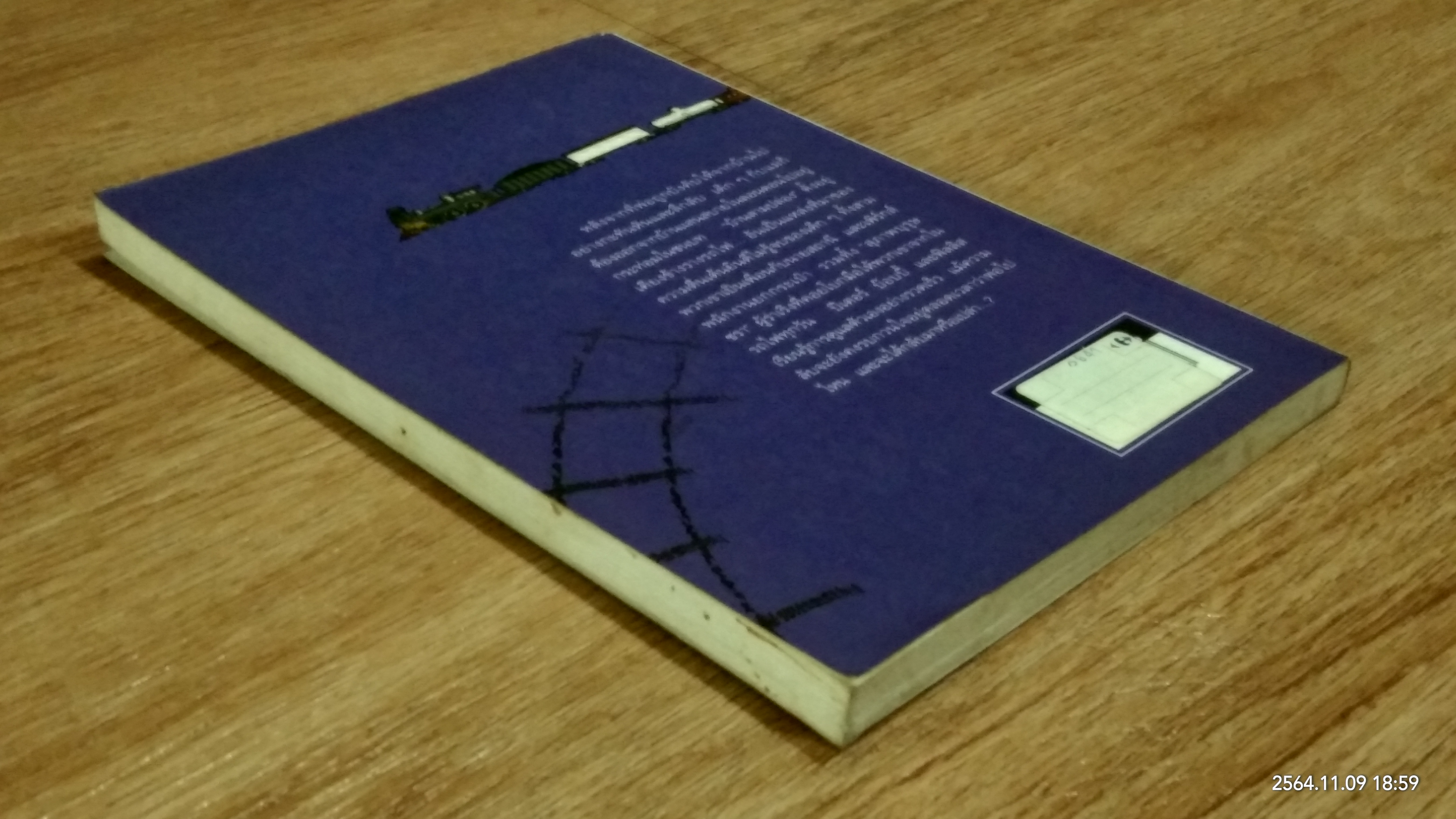 เด็กรางรถไฟ / อี. เนสบิท