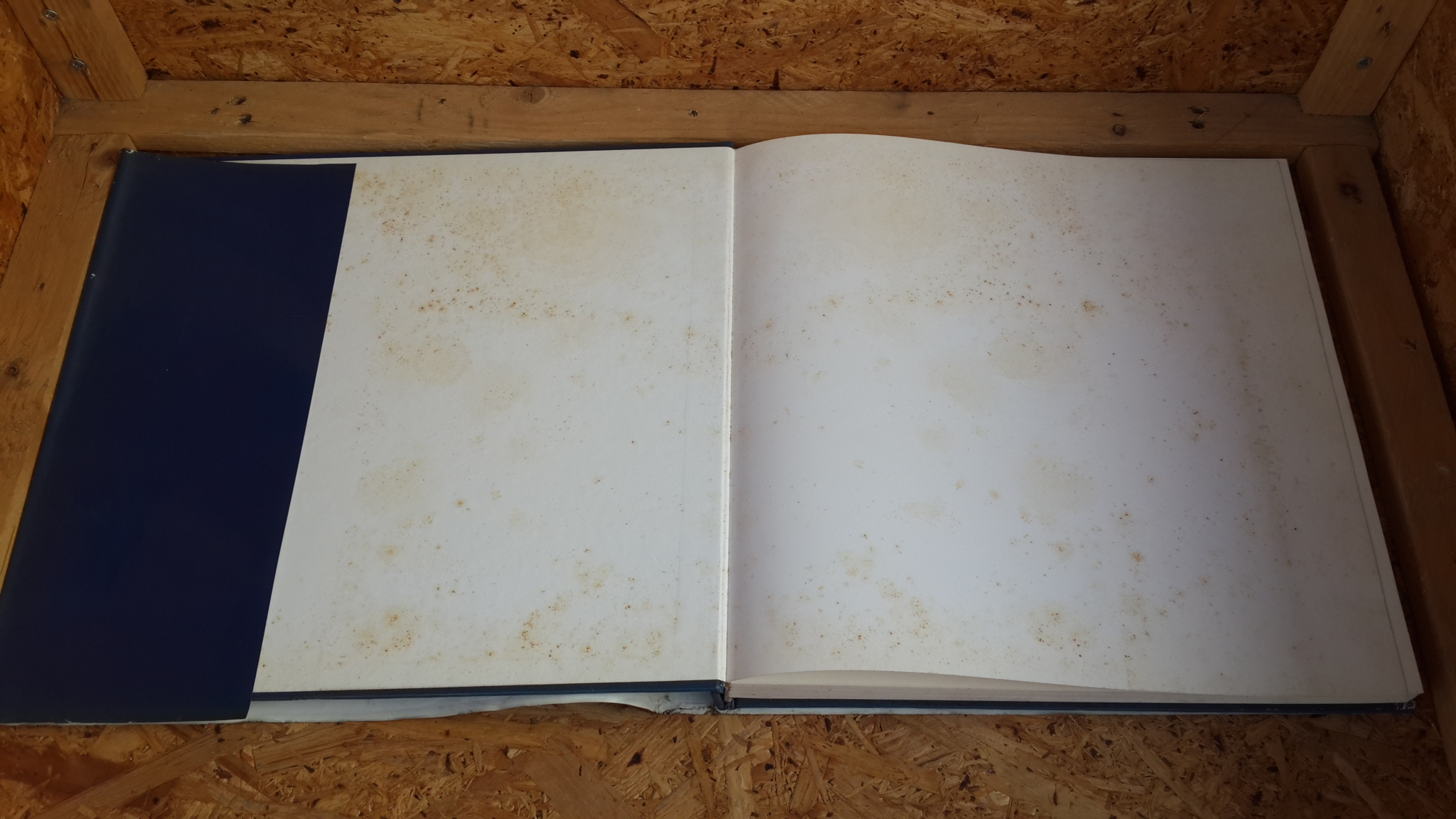 ตามเสด็จ พ.ศ.2538 โดย ท่านผู้หญิงสุวรี เทพาคำ