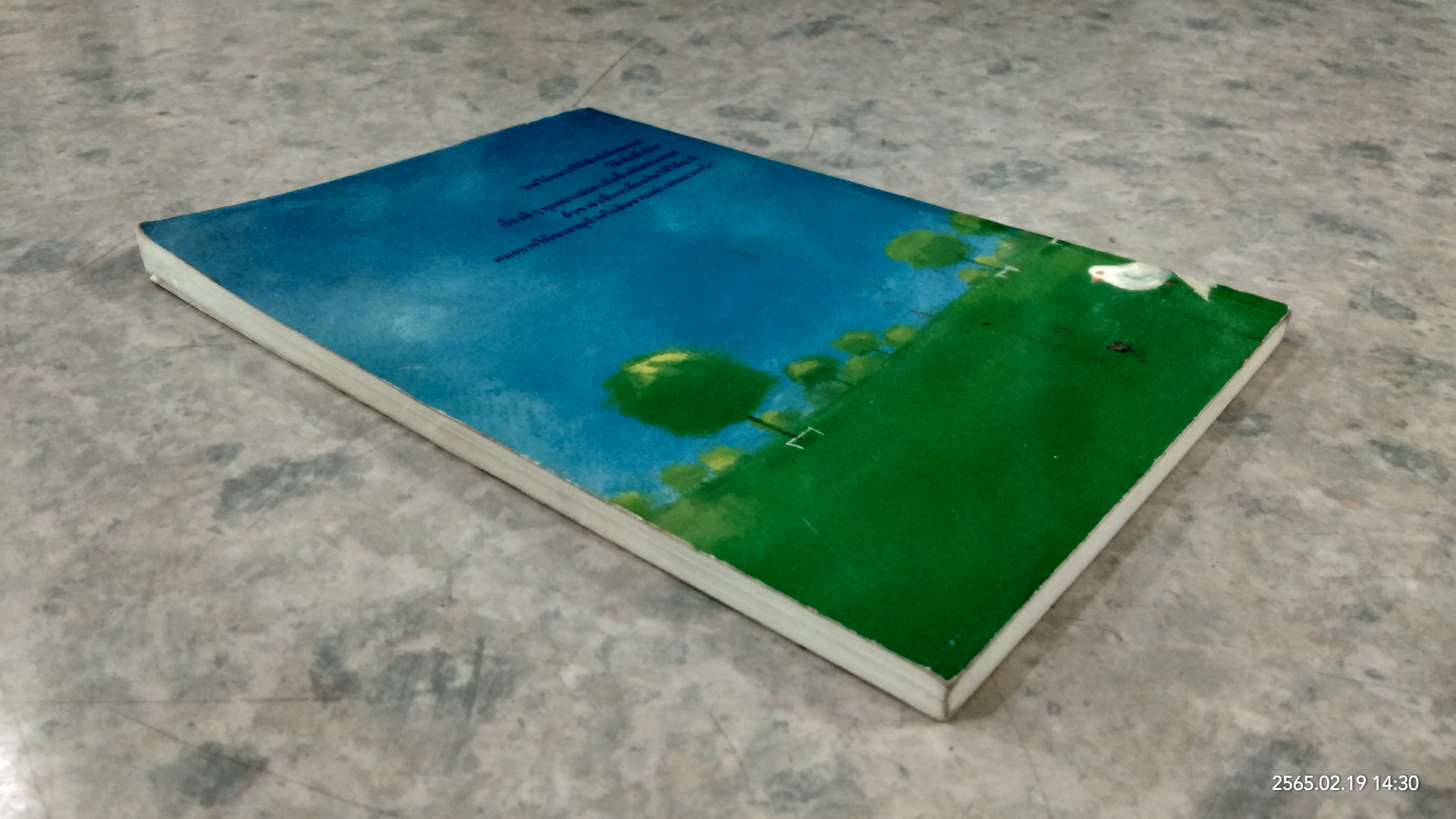 ไม่มีใครร้ายเท่าน้องเล็ก / จูดี้ บลูม