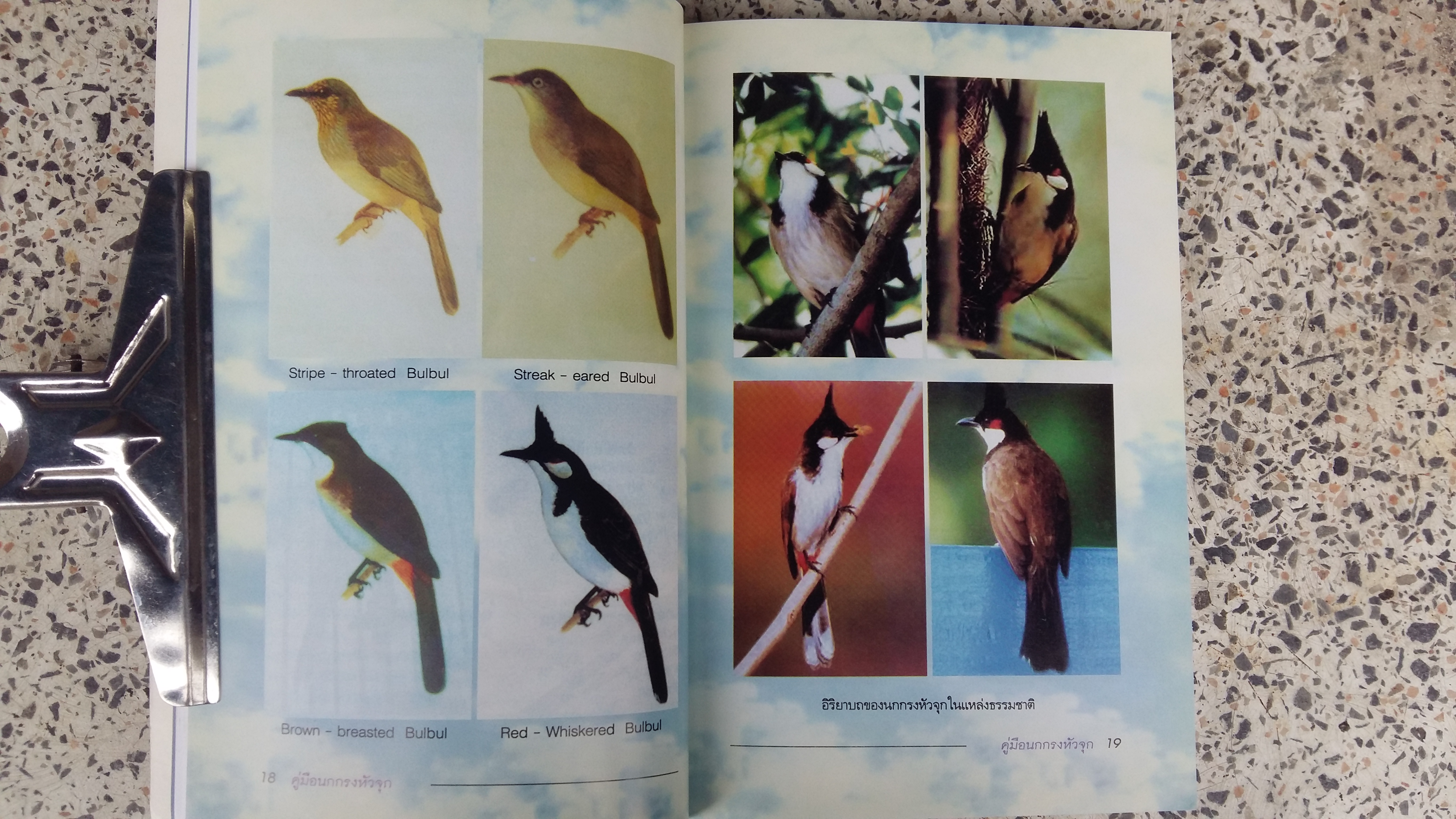 คู่มือนกกรงหัวจุก / เอกชัย พฤกษ์อำไพ