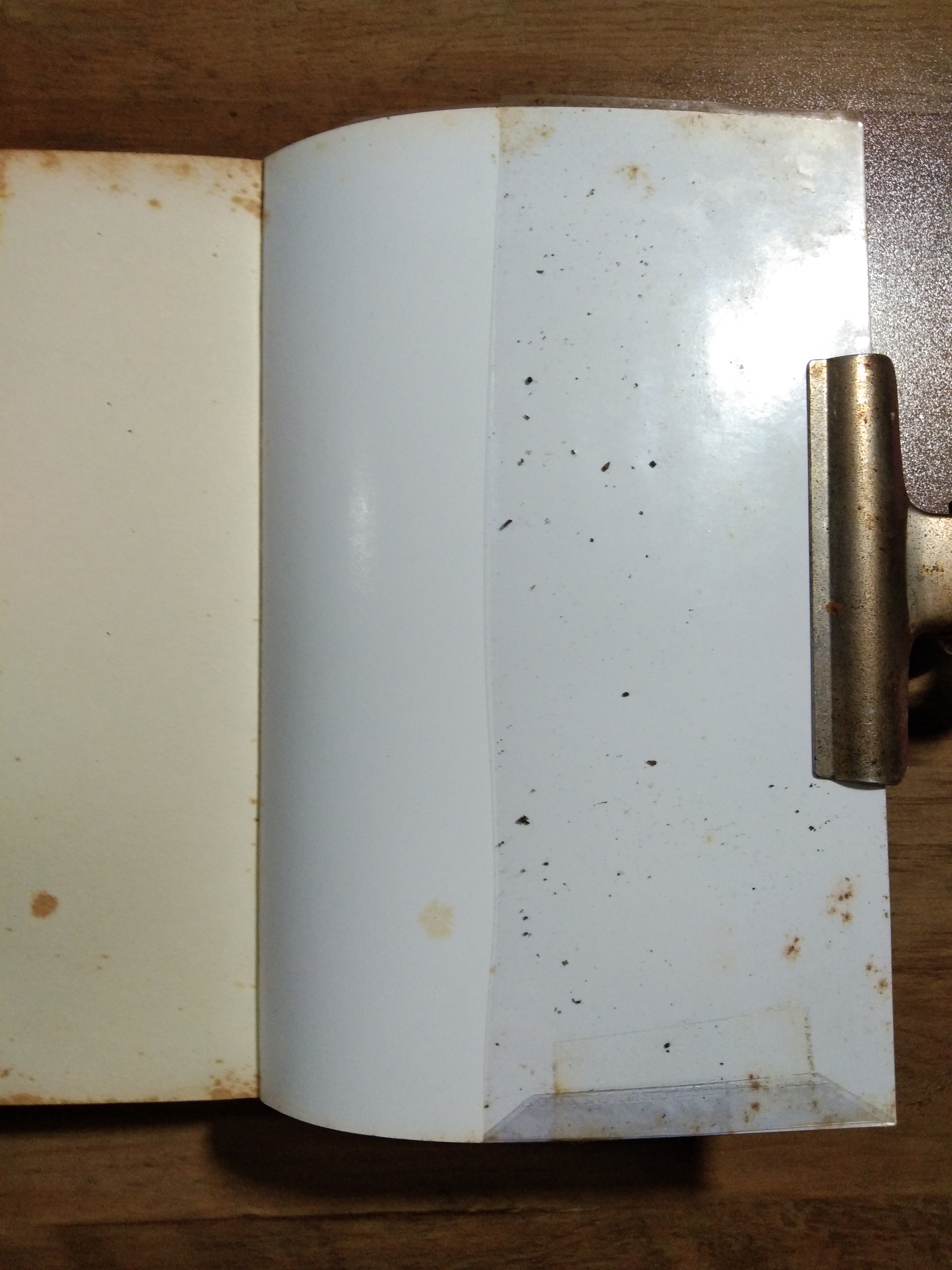 BEANSPROUT & FIREHHEAD IN THE INFINITE MADNESS / ทรงศีล ทิวสมบุญ