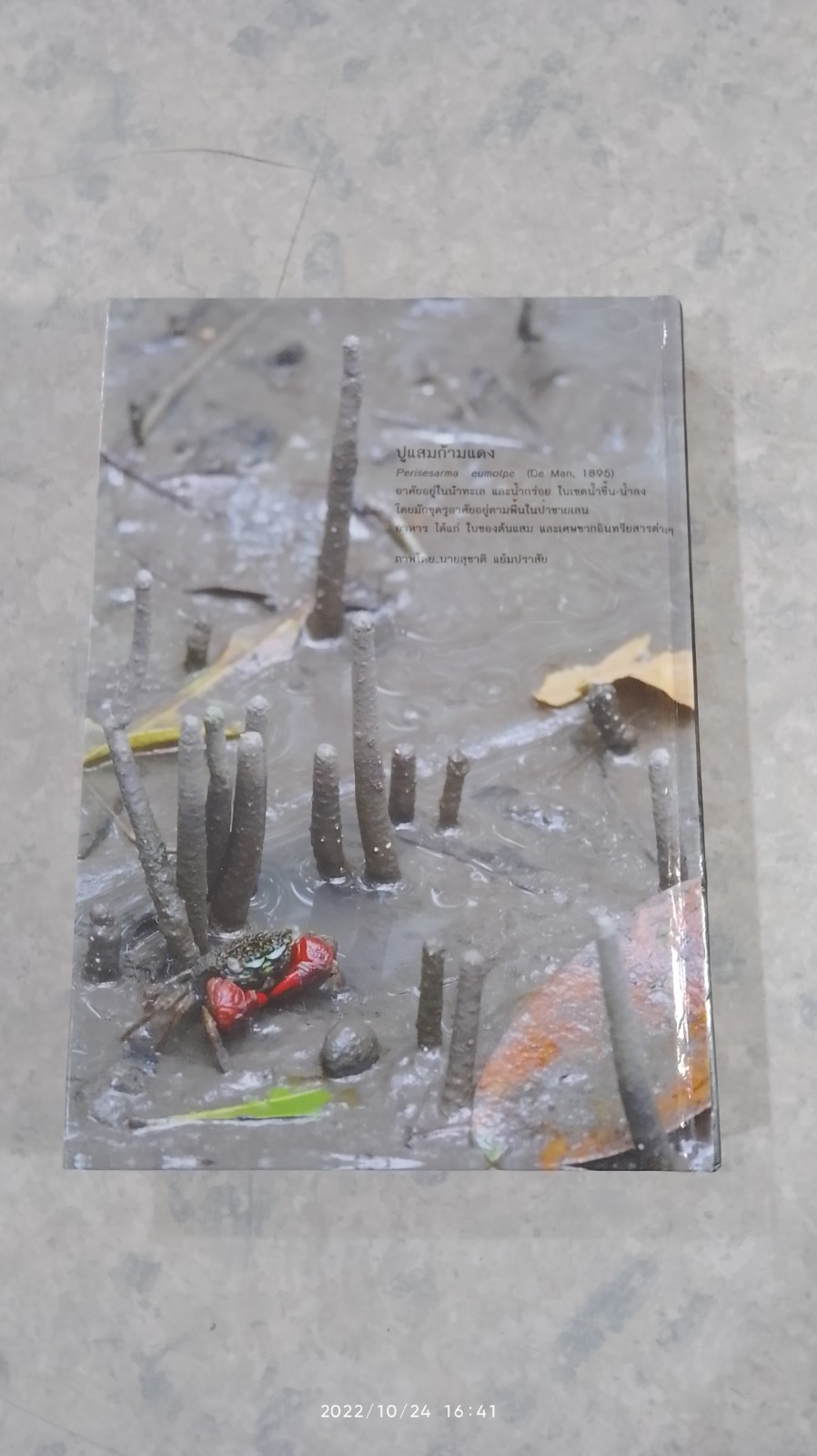 ความหลากหลายทางชีวภาพในป่าชายเลน อ่าวพังงา