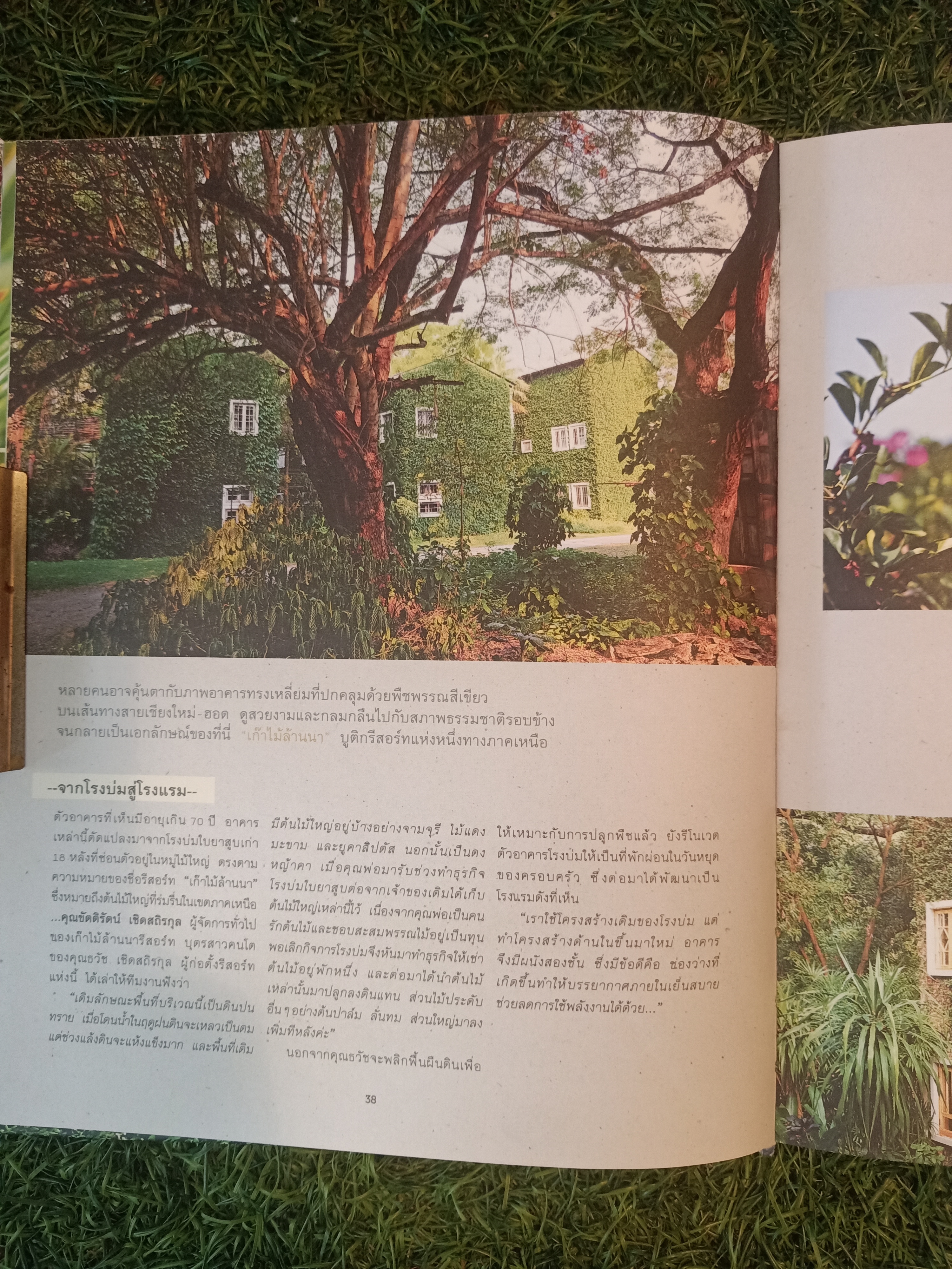 VERTICAL & ROOF GARDEN จัดสวนสวยบนผนังและหลังคา (หนังสือมีรอยชำรุดที่สันปก) / รศ.พาสินี สุนากร & ทิพาพรรณศิริเวชฎารักษ์