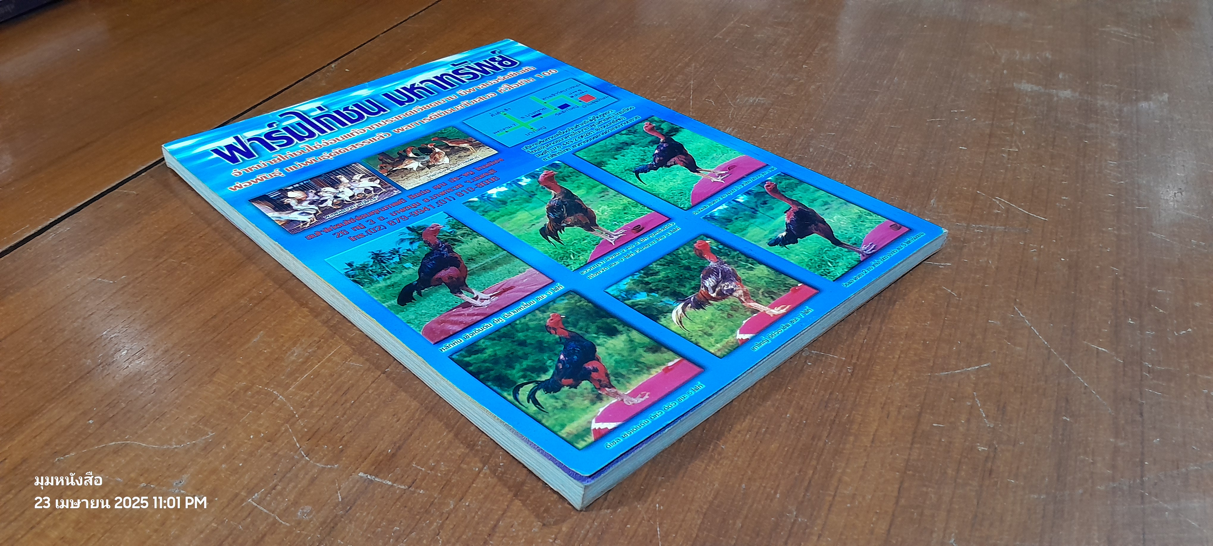 เซียนไก่ชน ฉบับพิเศษ ยอดมือน้ำ 2002 / อาจารย์ ประดิษฐ์ เชื้อสิงห์