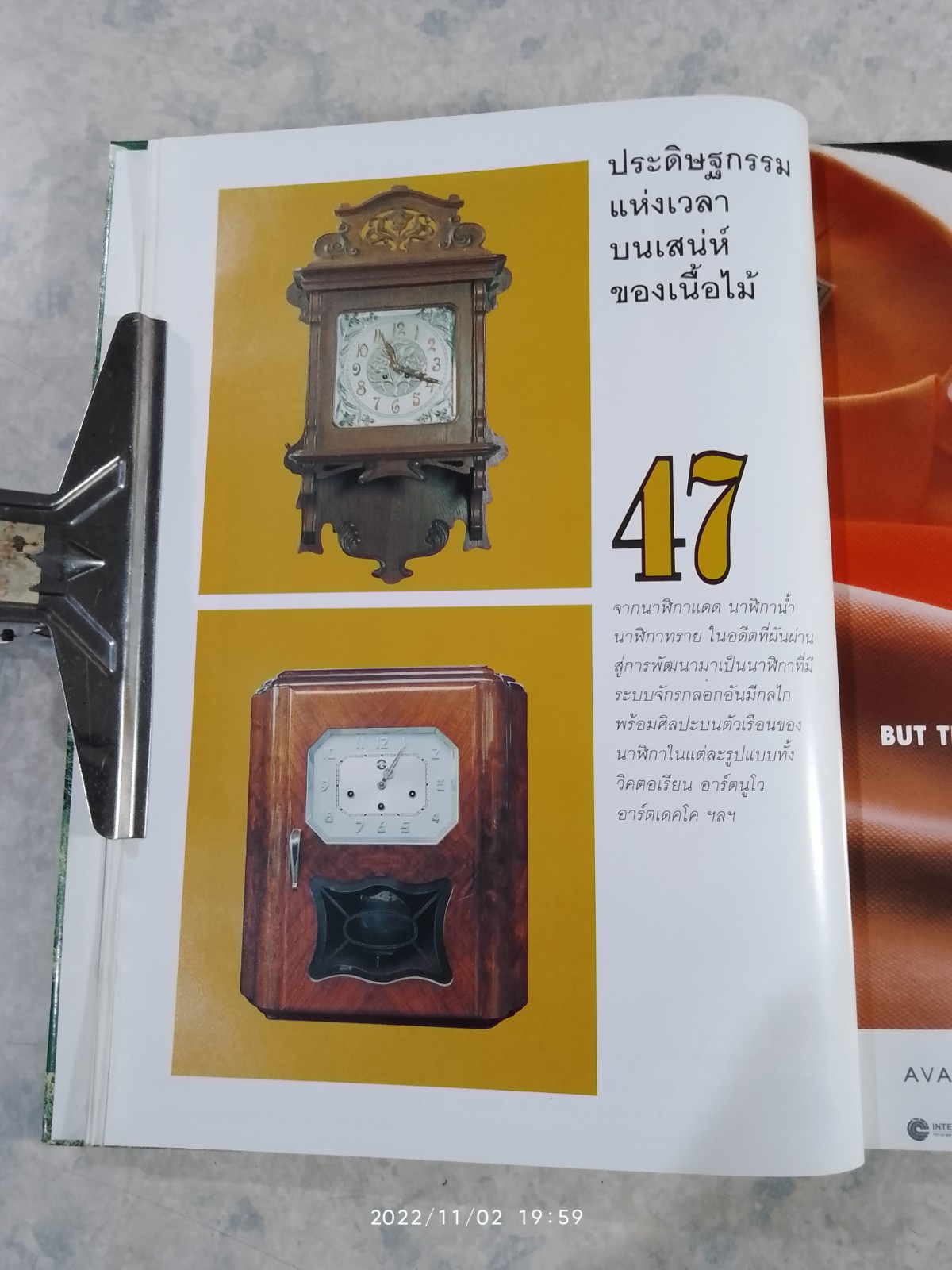 คอลเล็คชั่น แอนด์ เฮ้าส์ ฉบับพิเศษ : บ้านและธรรมชาติ