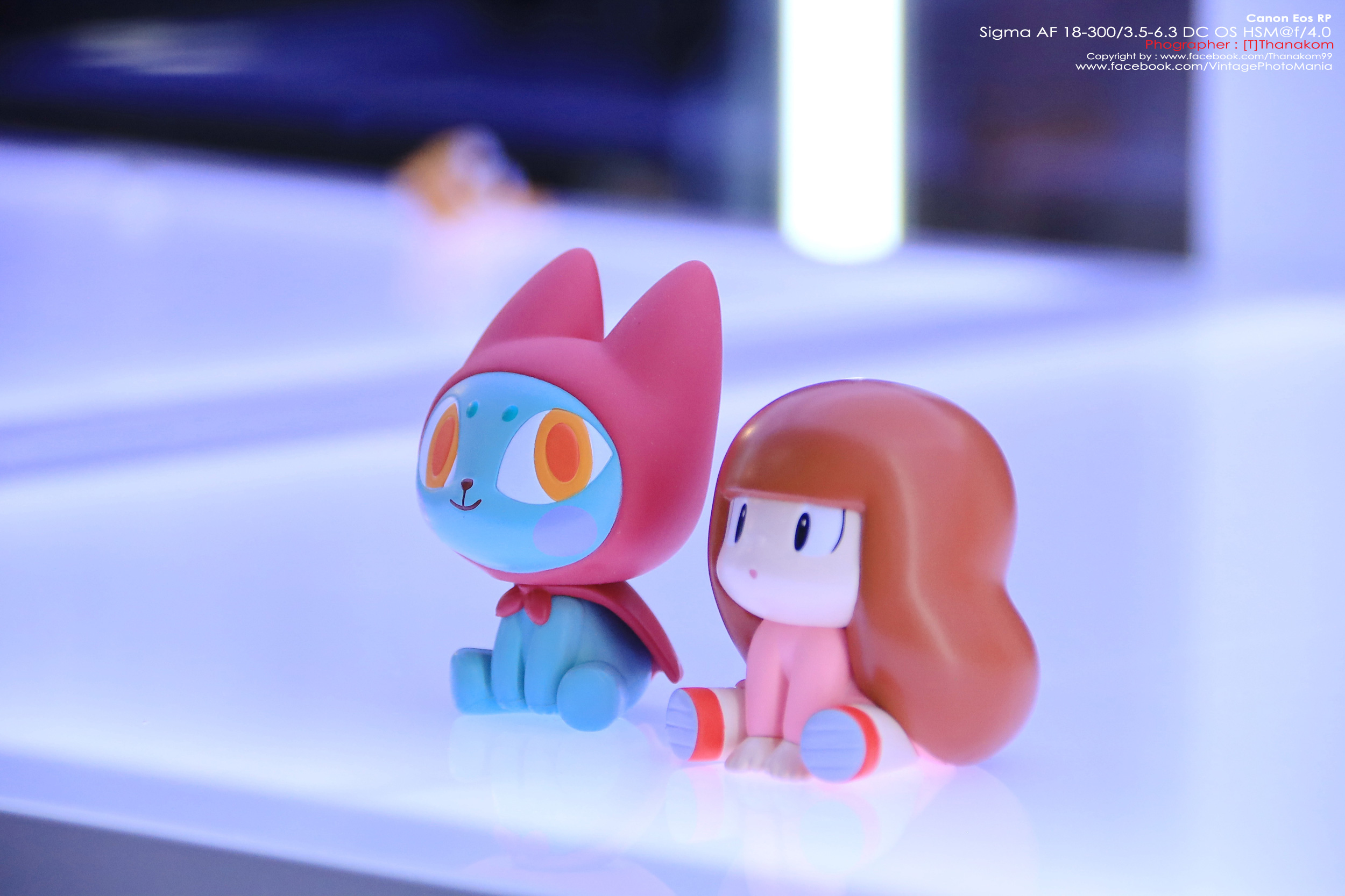 Sigma AF 18-250/3.5-6.3 DC OS HSM *Canon EF-S Mount เลนส์อเนกประสงค์ตัวเล็กซูมได้ 14 เท่ามีกันสั่น