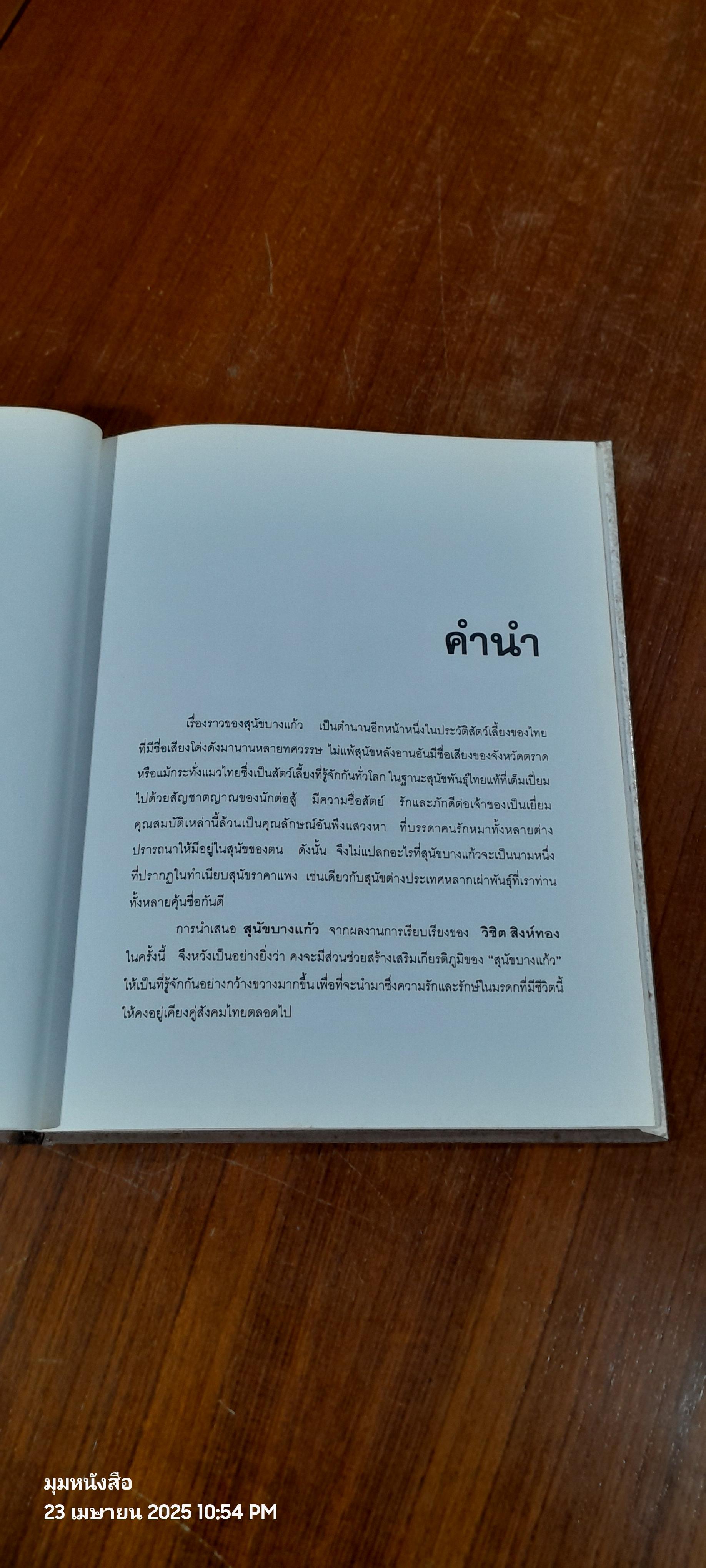 สุนัขบางแก้ว / วิชิต สิงห์ทอง