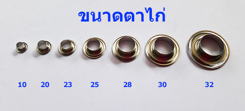 ขนาดตาไก่