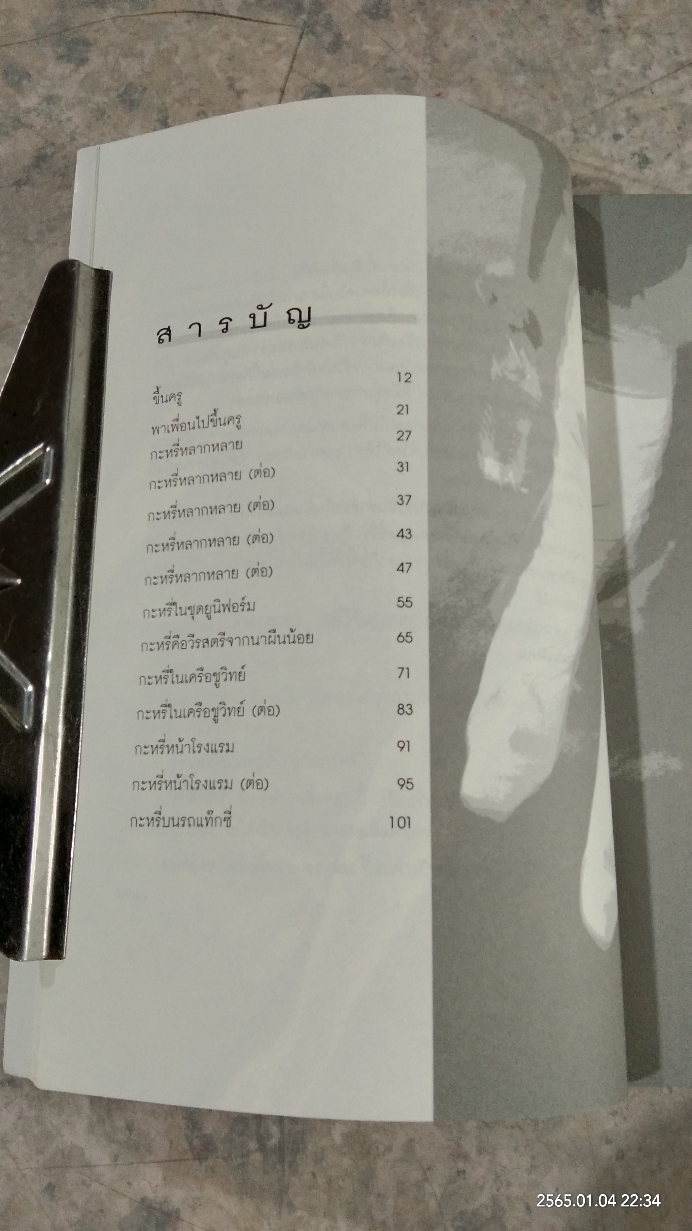 กะหรี่ที่ข้าพเจ้ารู้จัก / ฮ.นิกฮูกี้
