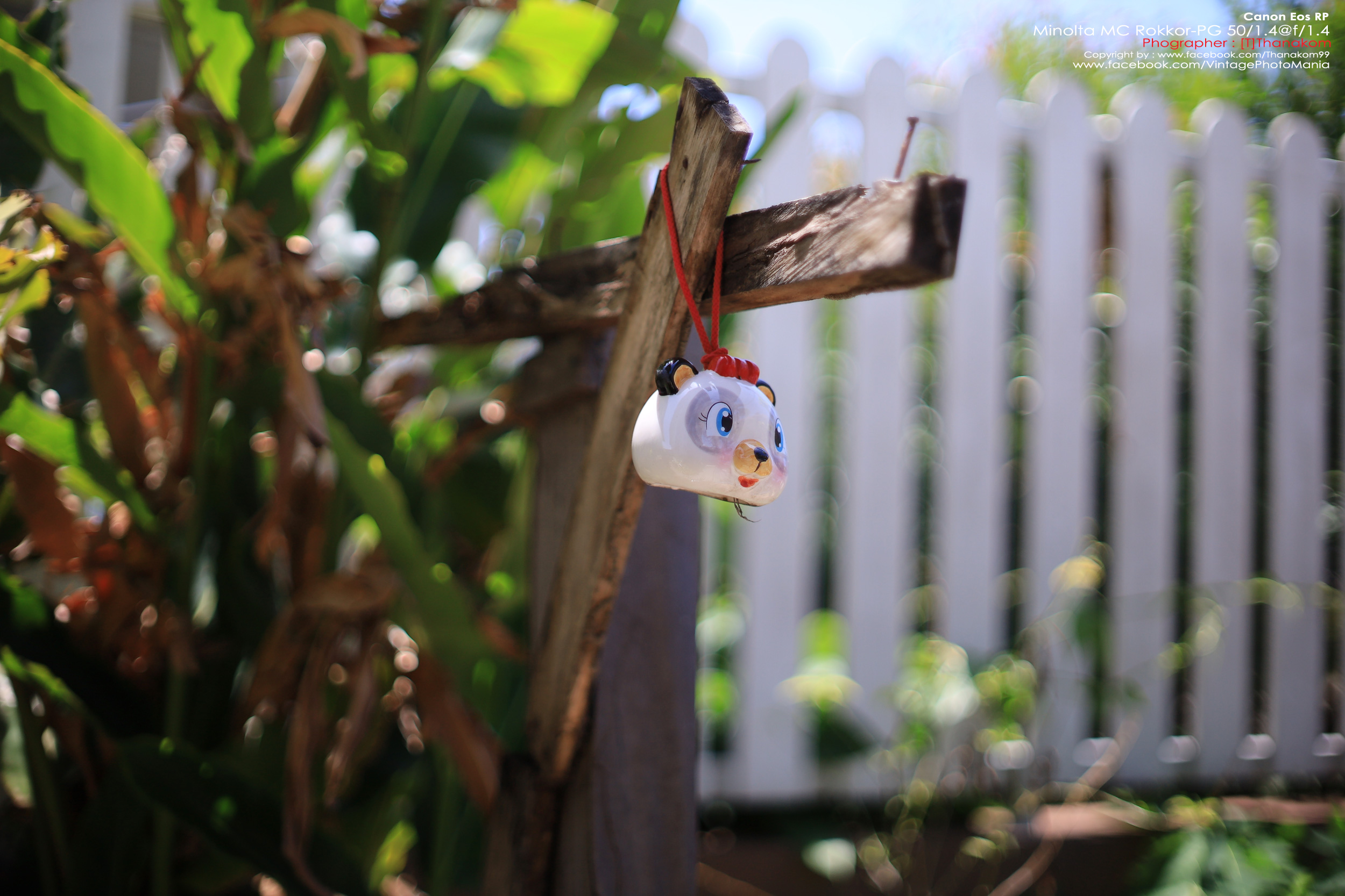 Minolta MC Rokkor-PG 50/1.4 *MD Mount เลนส์ไวแสงละลายฉากหลังสวย