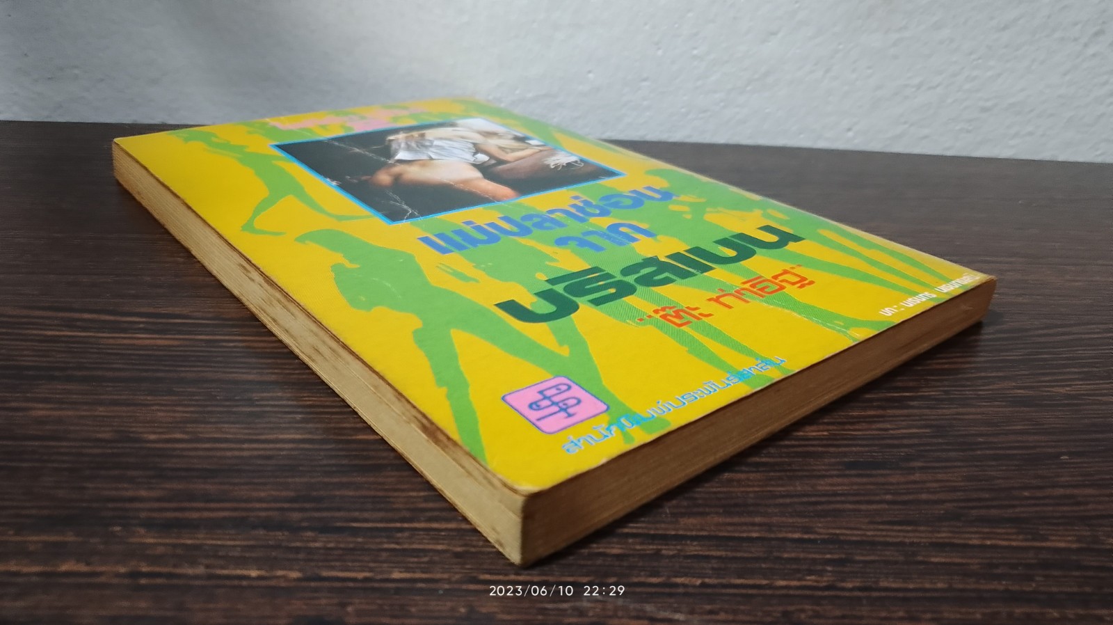 แม่ปลาช่อนจากบริสเบน / ตีะ ท่าอิฐ