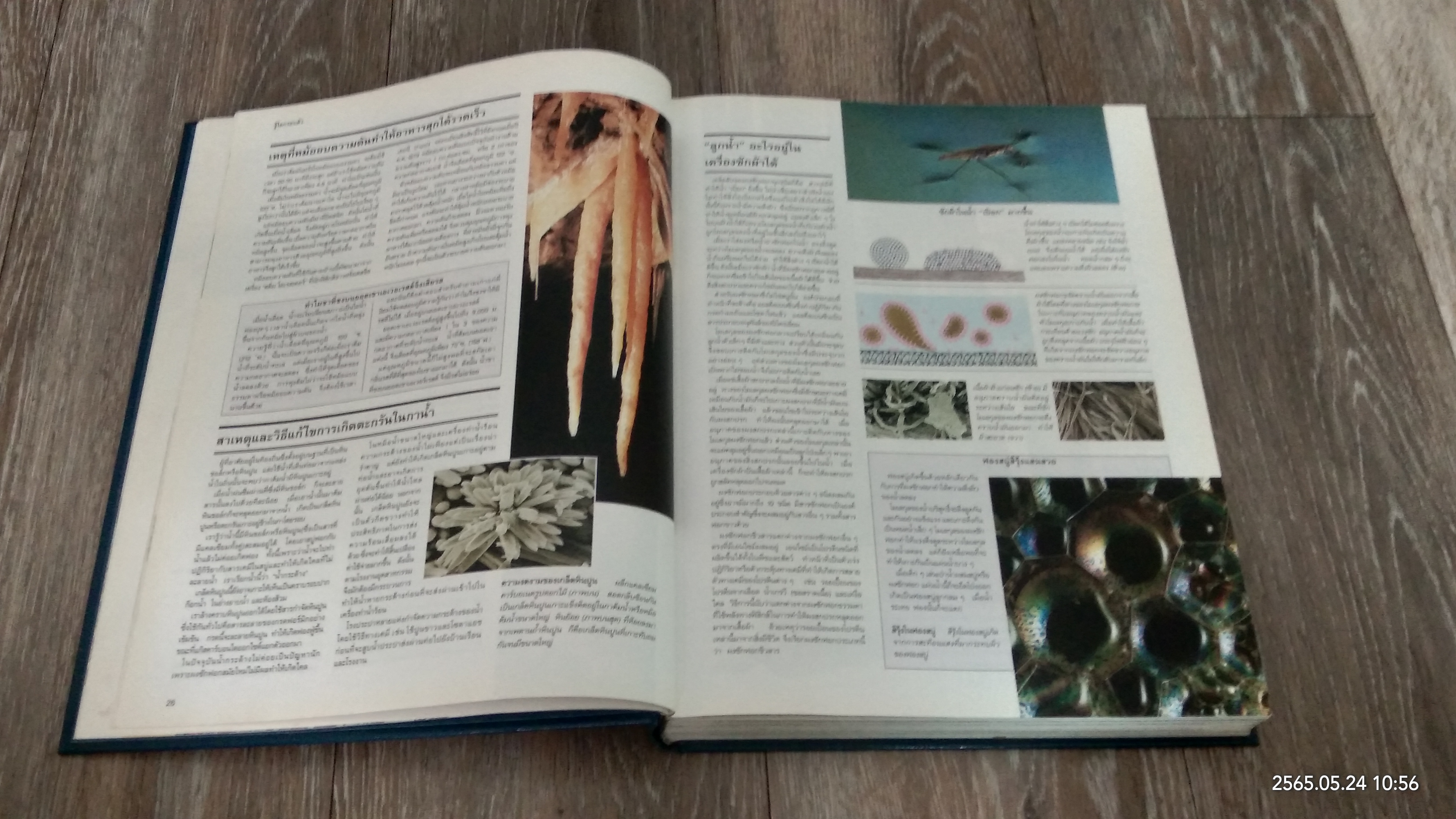 รู้รอบตอบได้ / รีดเดอร์ส ไดเจสท์