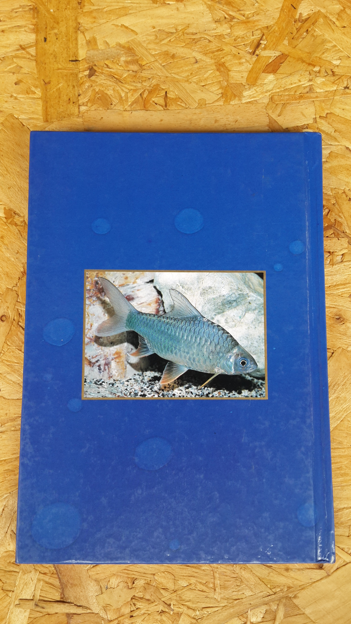 สารานุกรม ปลาไทย / สุรศักดิ์ วงศ์กิตติเวช