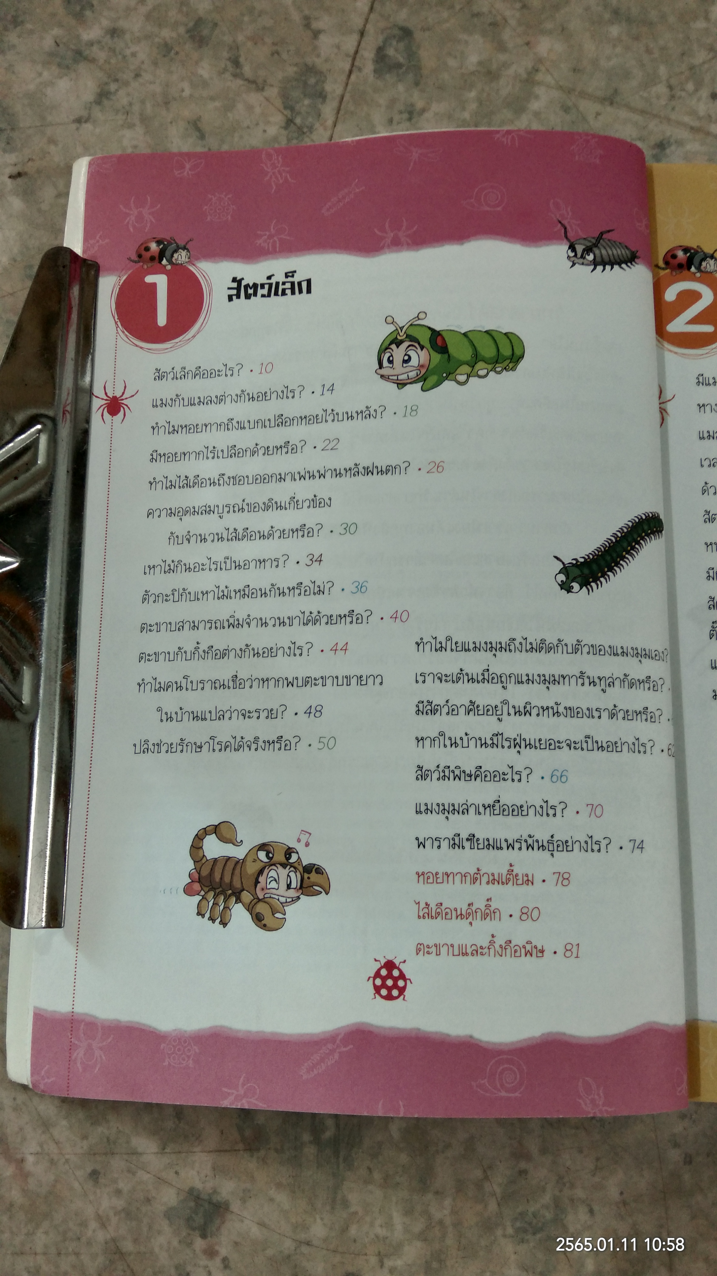 วิทยาศาสตร์ เล่ม 18 เรื่อง โลกของสัตว์เล็ก