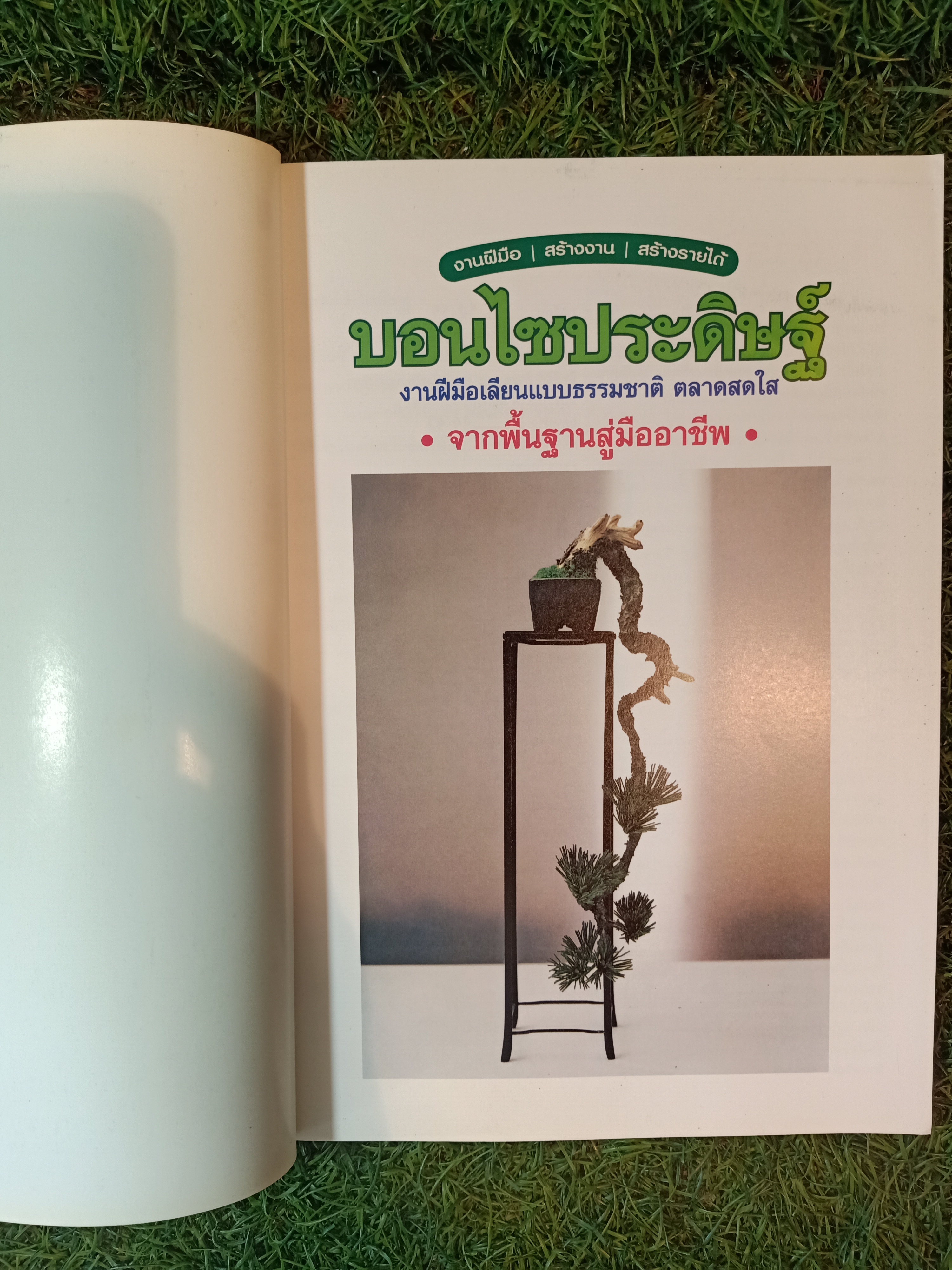 บอนไซประดิษฐ์ / หจก. เพชรกะรัต สติวดิโอ