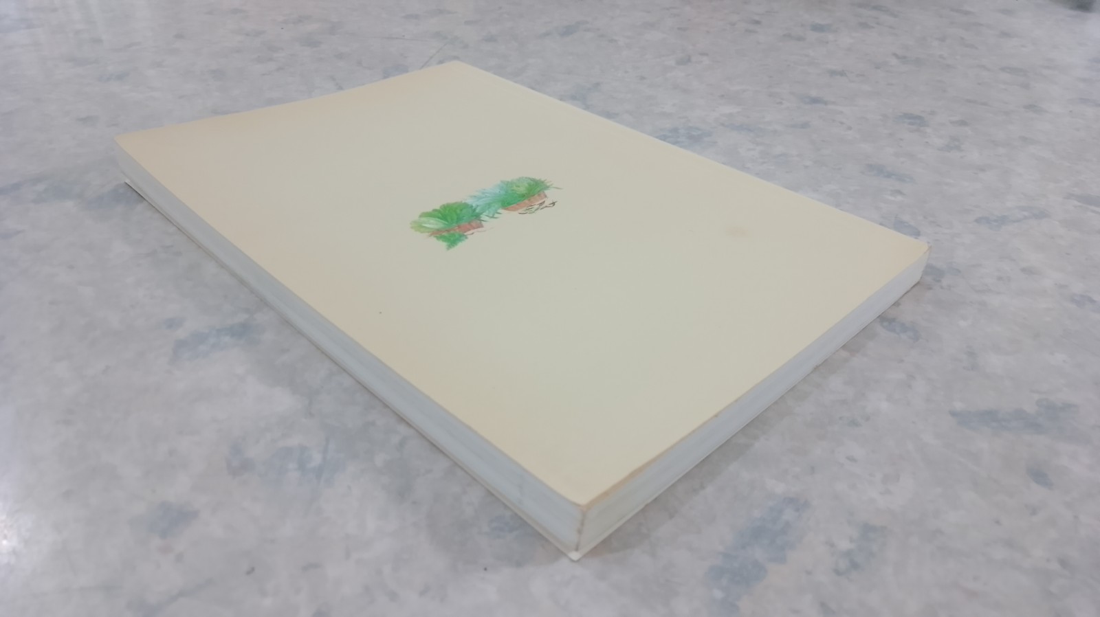 สวนผักรักษ์ไทย / ธ.กสิกรไทย