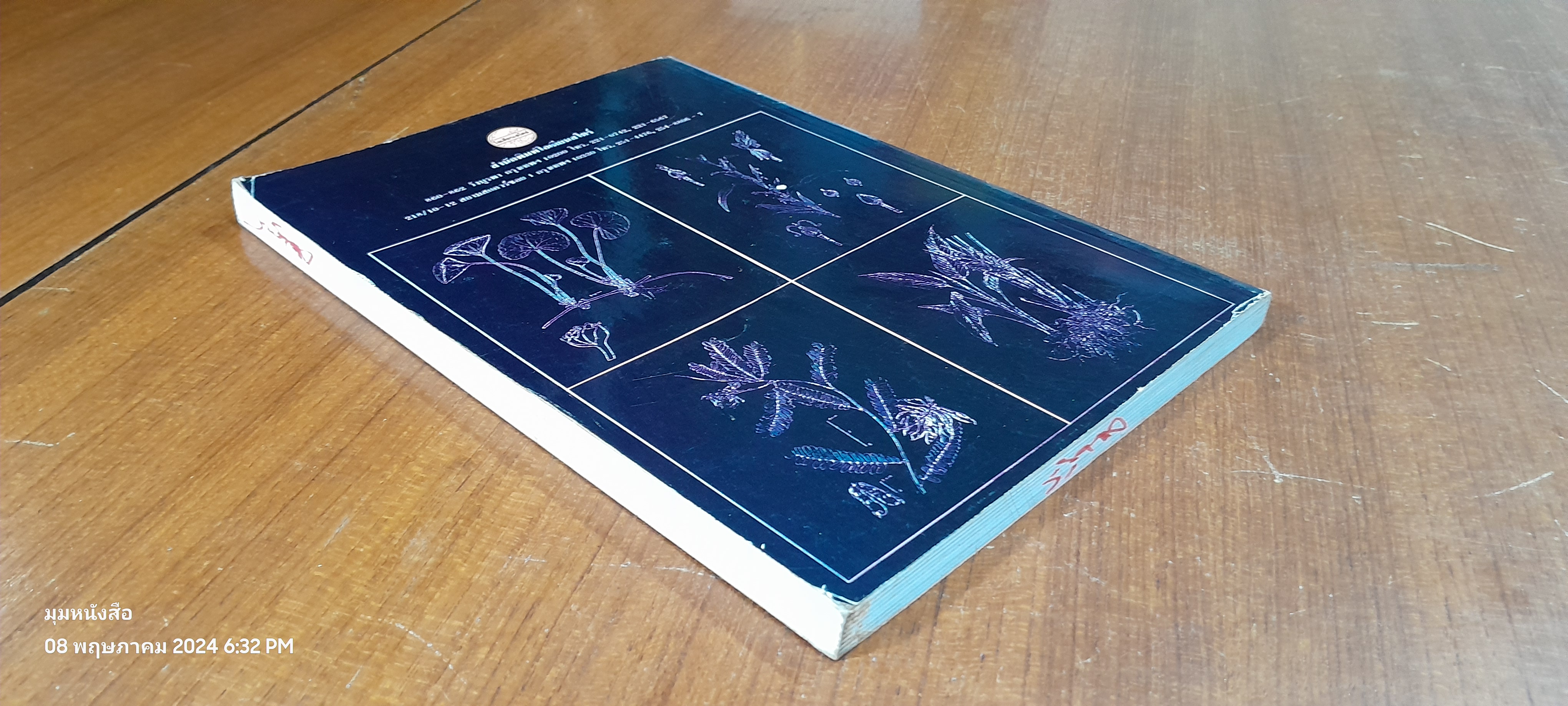 พืชสมุนไพร ( มีรอยขีดเขียน ) / นิจศิริ เรืองรังษี