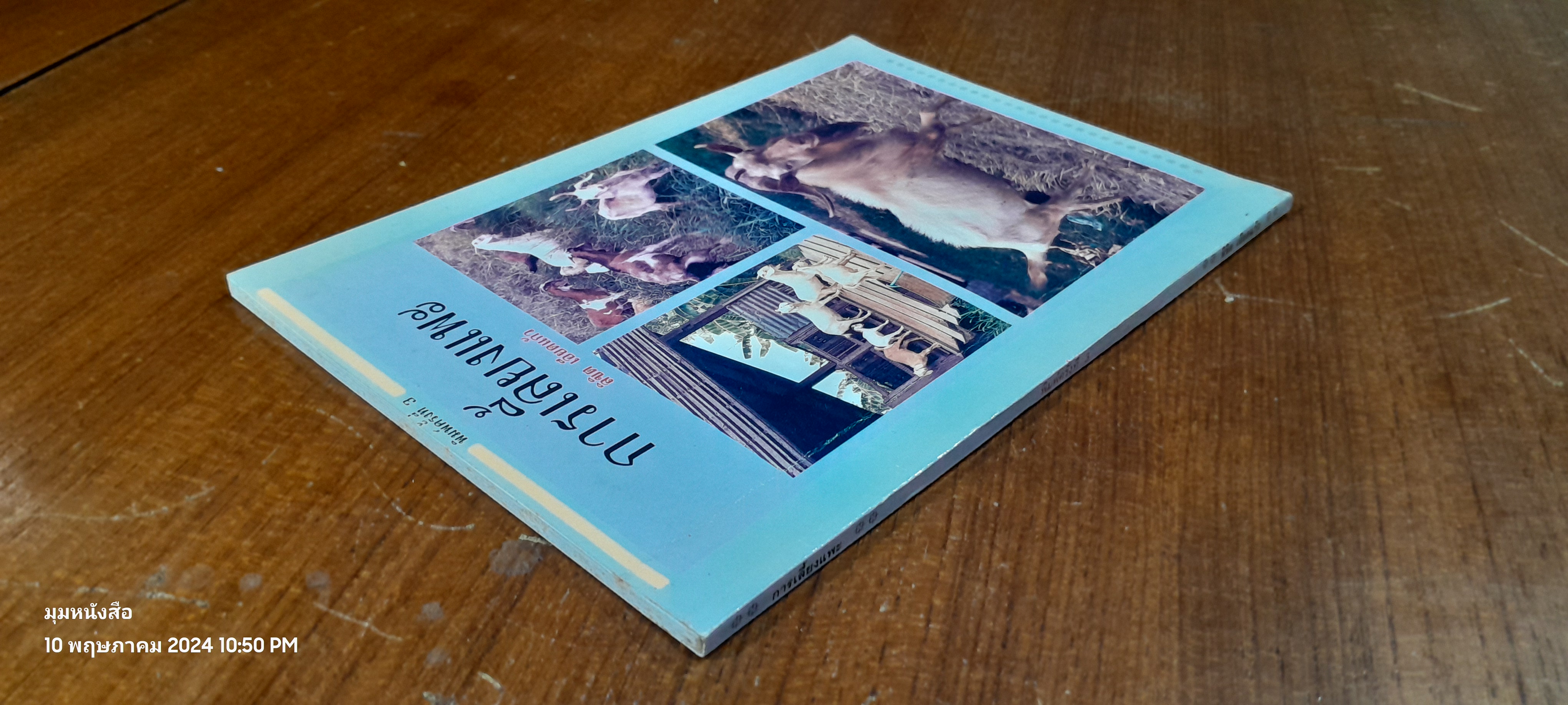 การเลี้ยงแพะ / ลิขิต เอียดแก้ว