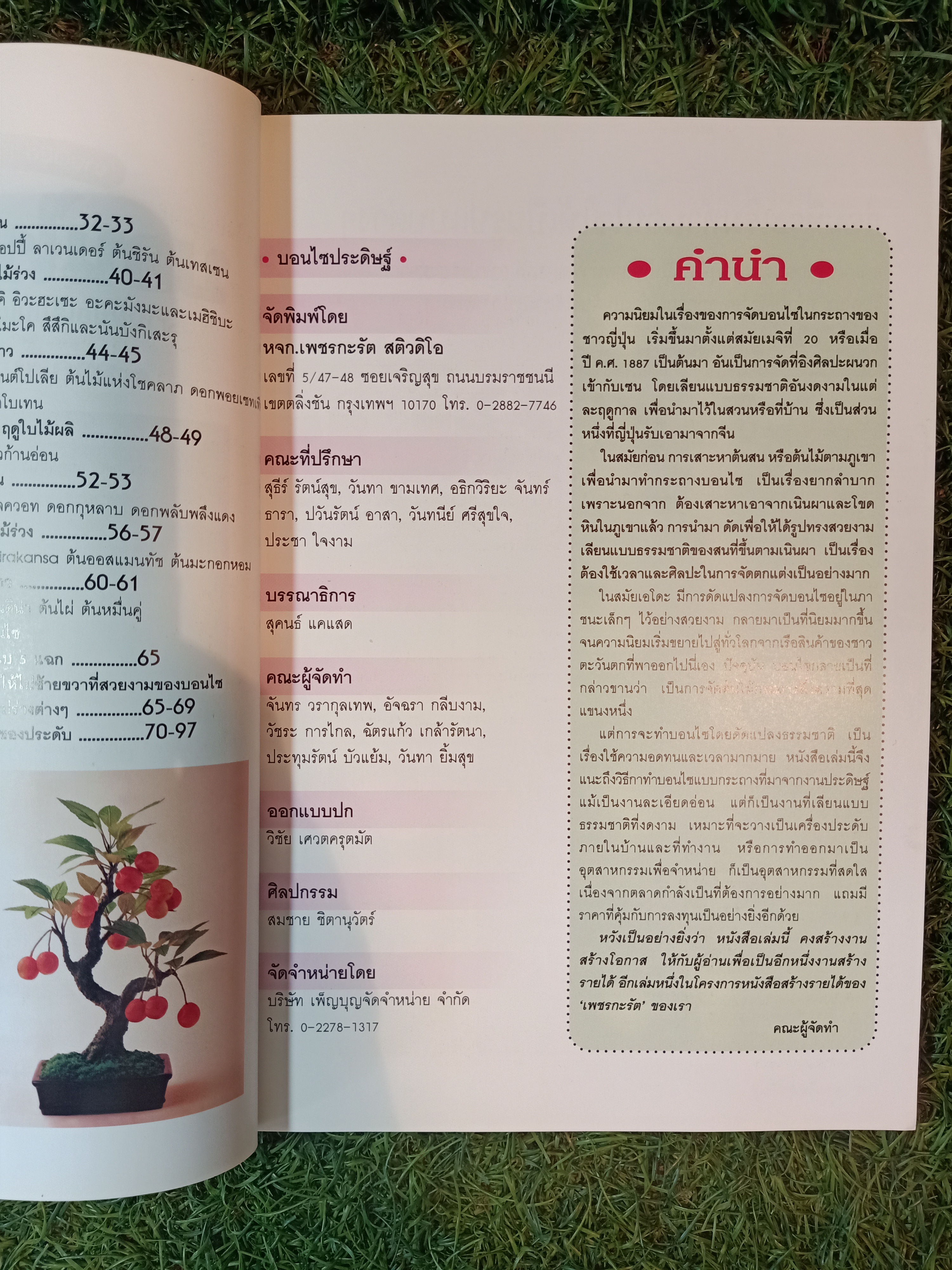 บอนไซประดิษฐ์ / หจก. เพชรกะรัต สติวดิโอ