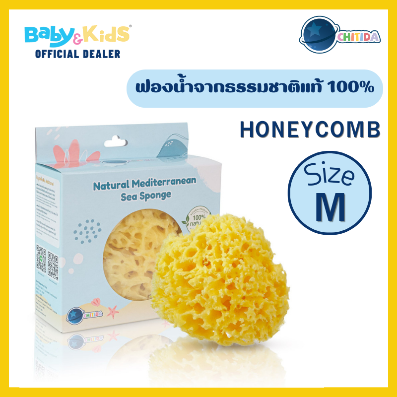 Chitida Natural Mediterranean Sea Sponge ฟองน้ำธรรมชาติ 100% รุ่น HONEYCOMB Size.M