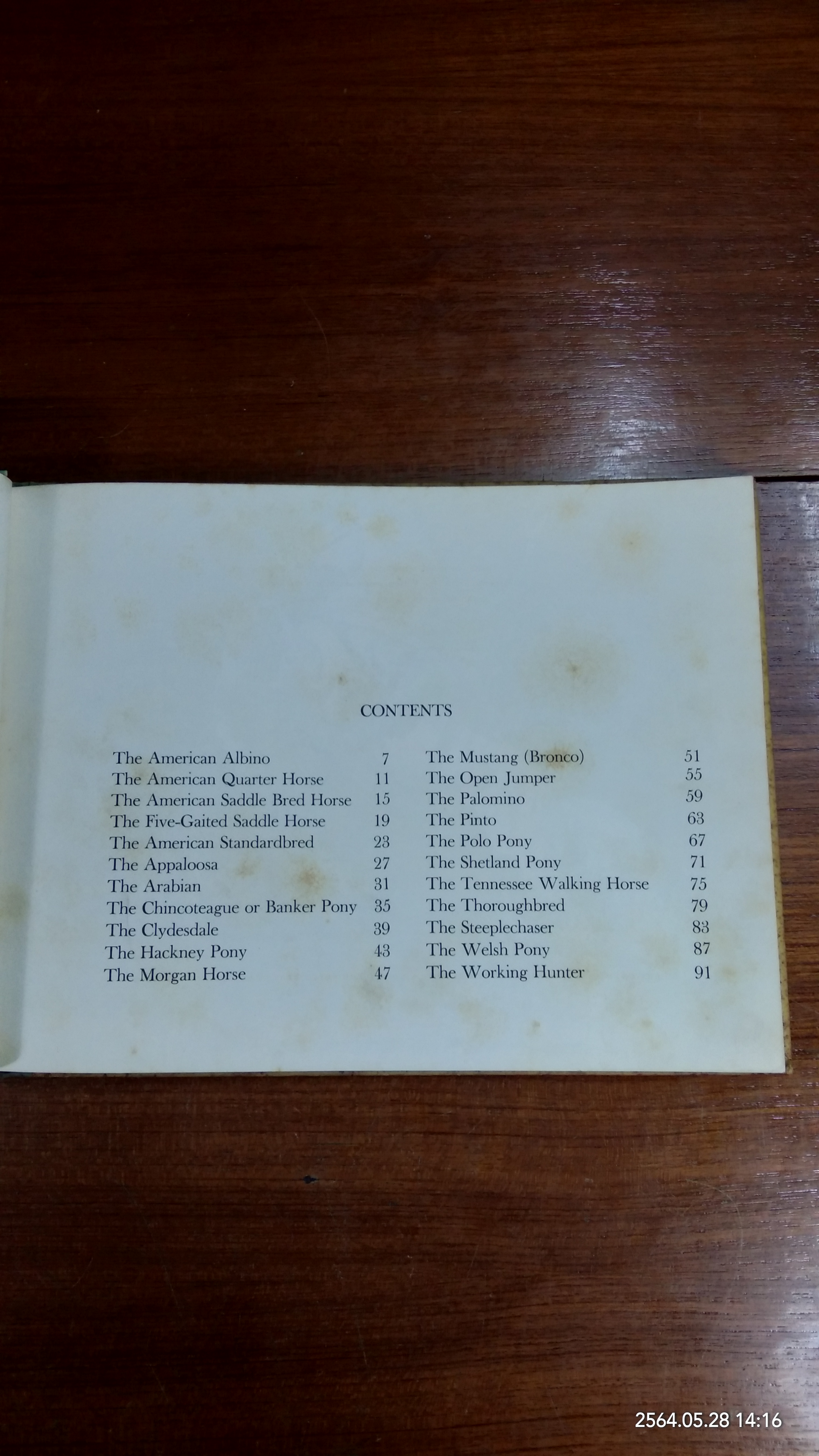 AMERICA'S HORSES / SAM SAVITT