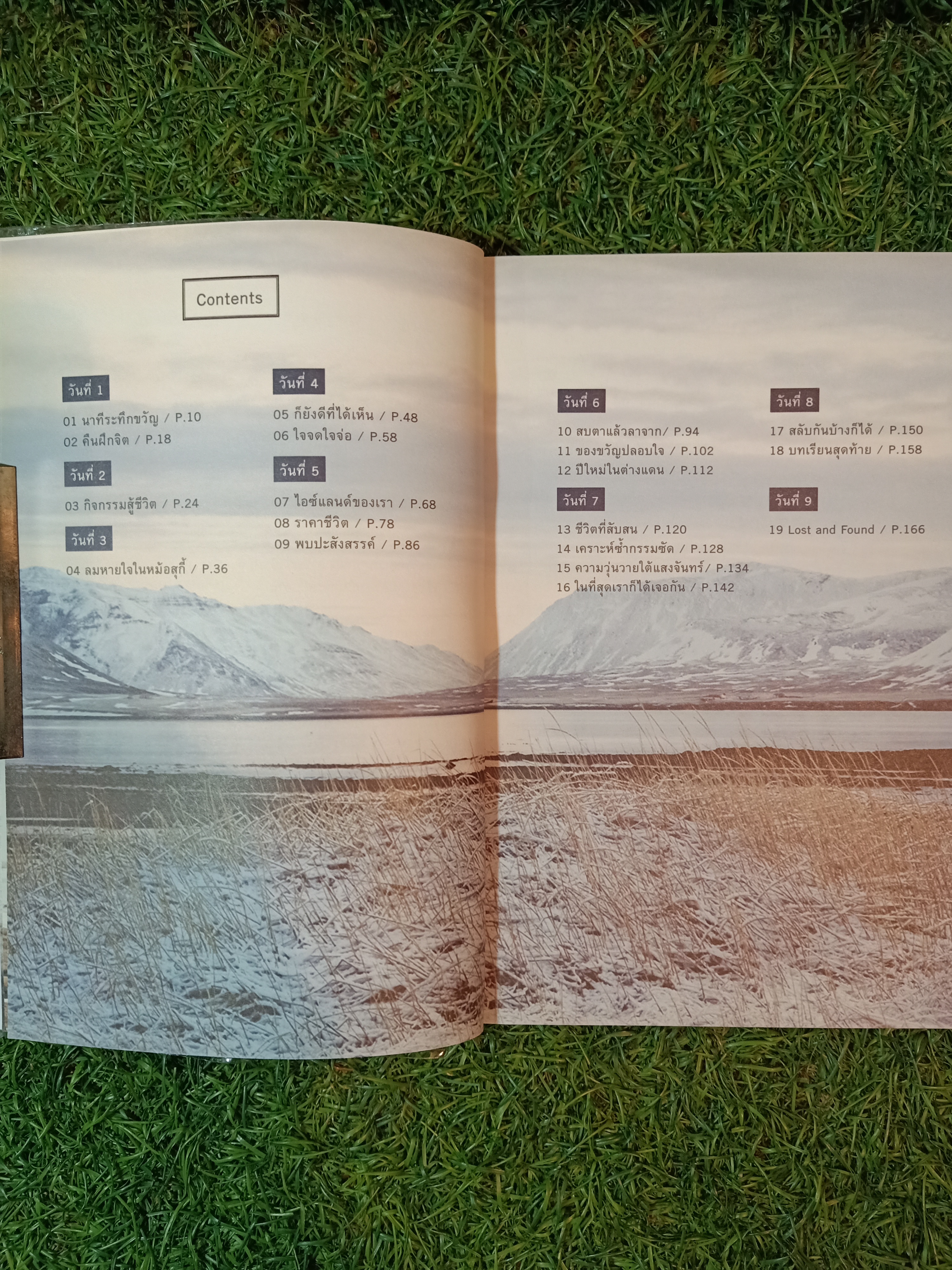 LOST AND FOUND IN ICELAND ไอซ์แลนด์ดินแดนแห่งแสงเหนือ / นพ.วันฉัตร ชินสุวาเทย์